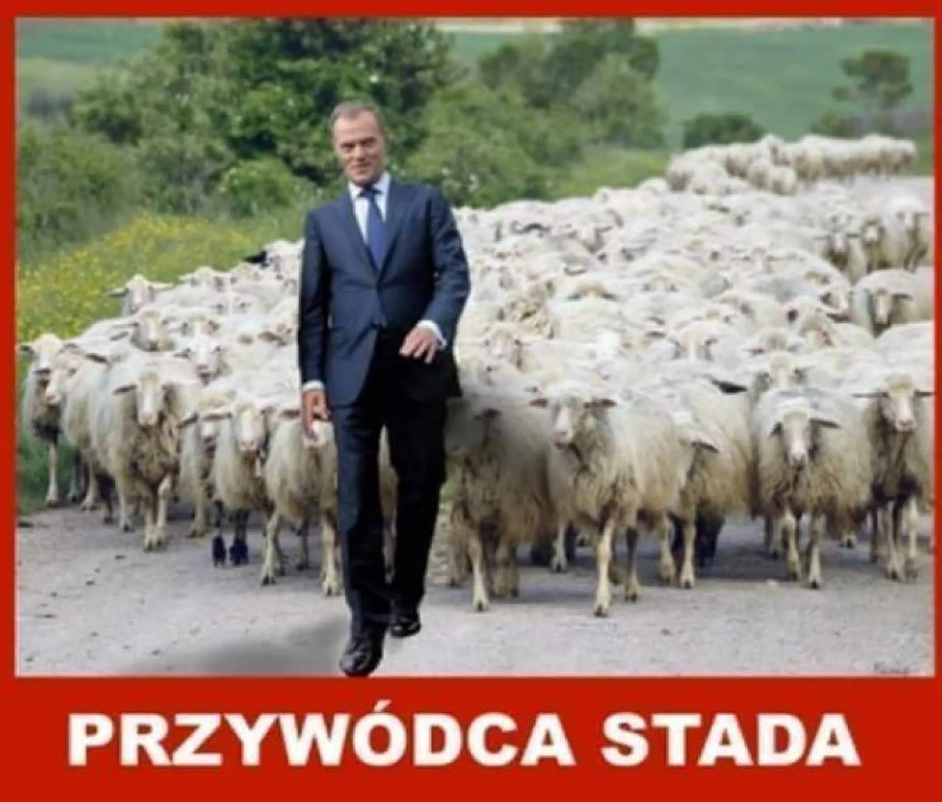 Przywódca