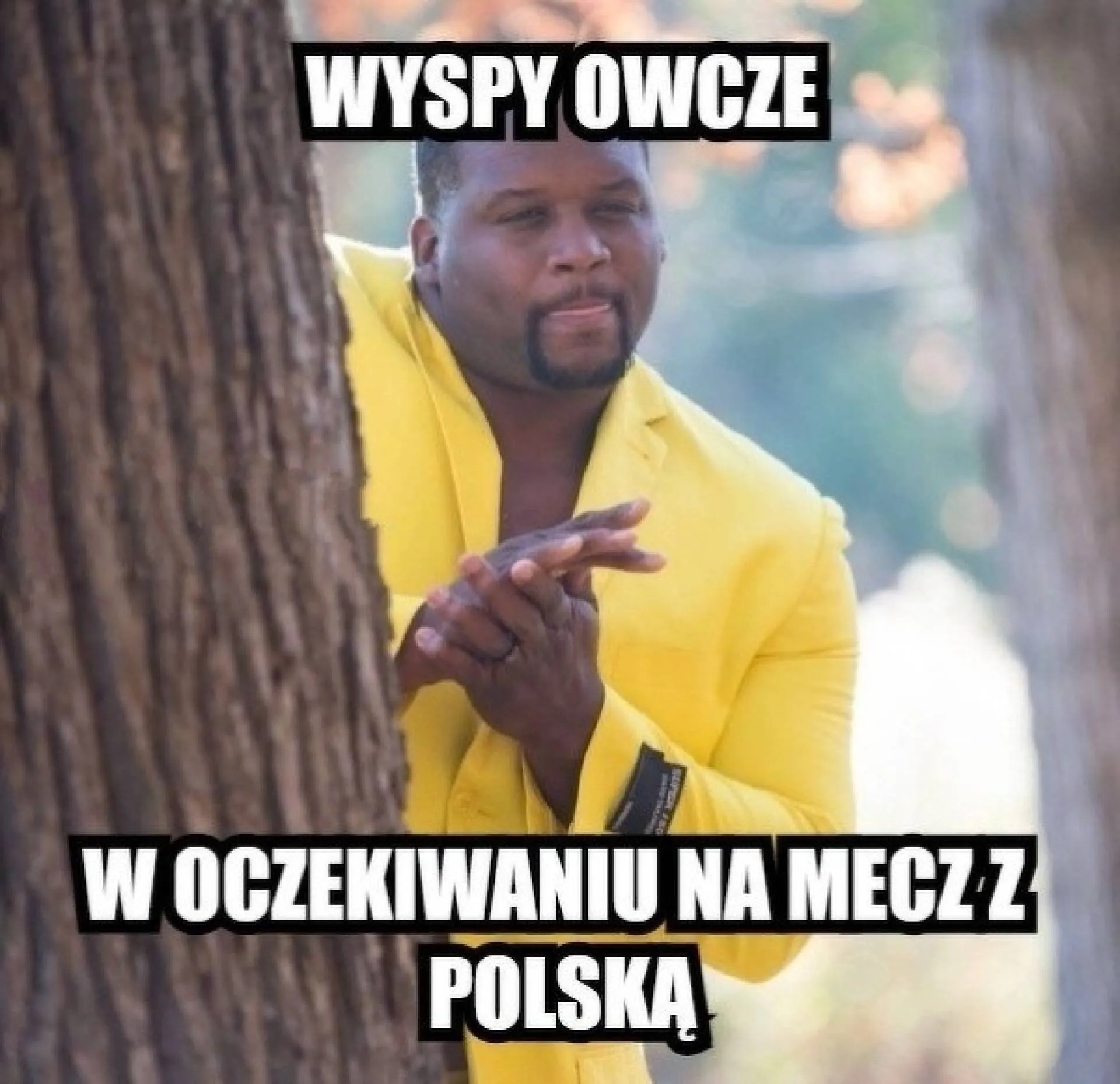 Wyspy Owcze
