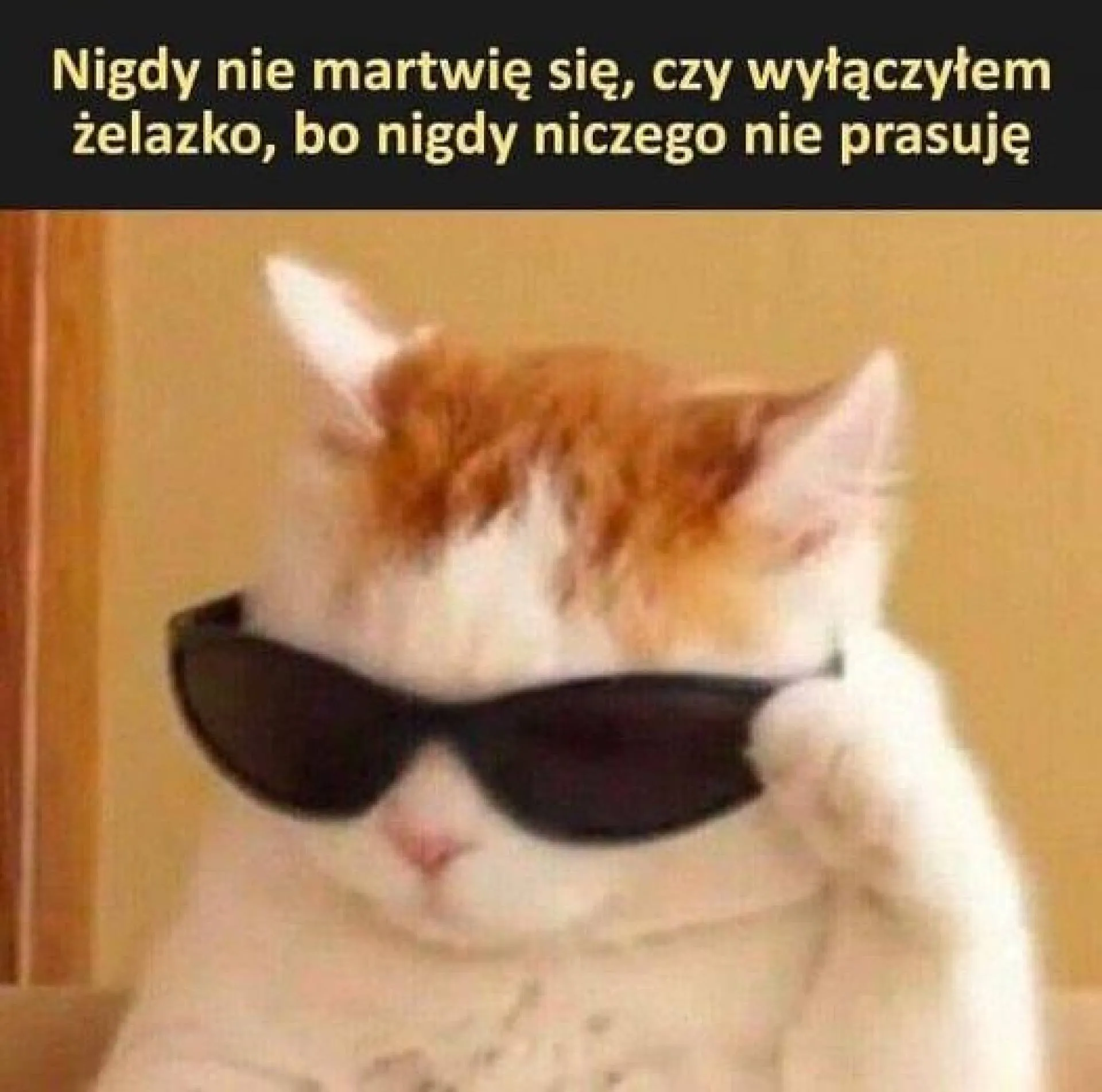 Nigdy