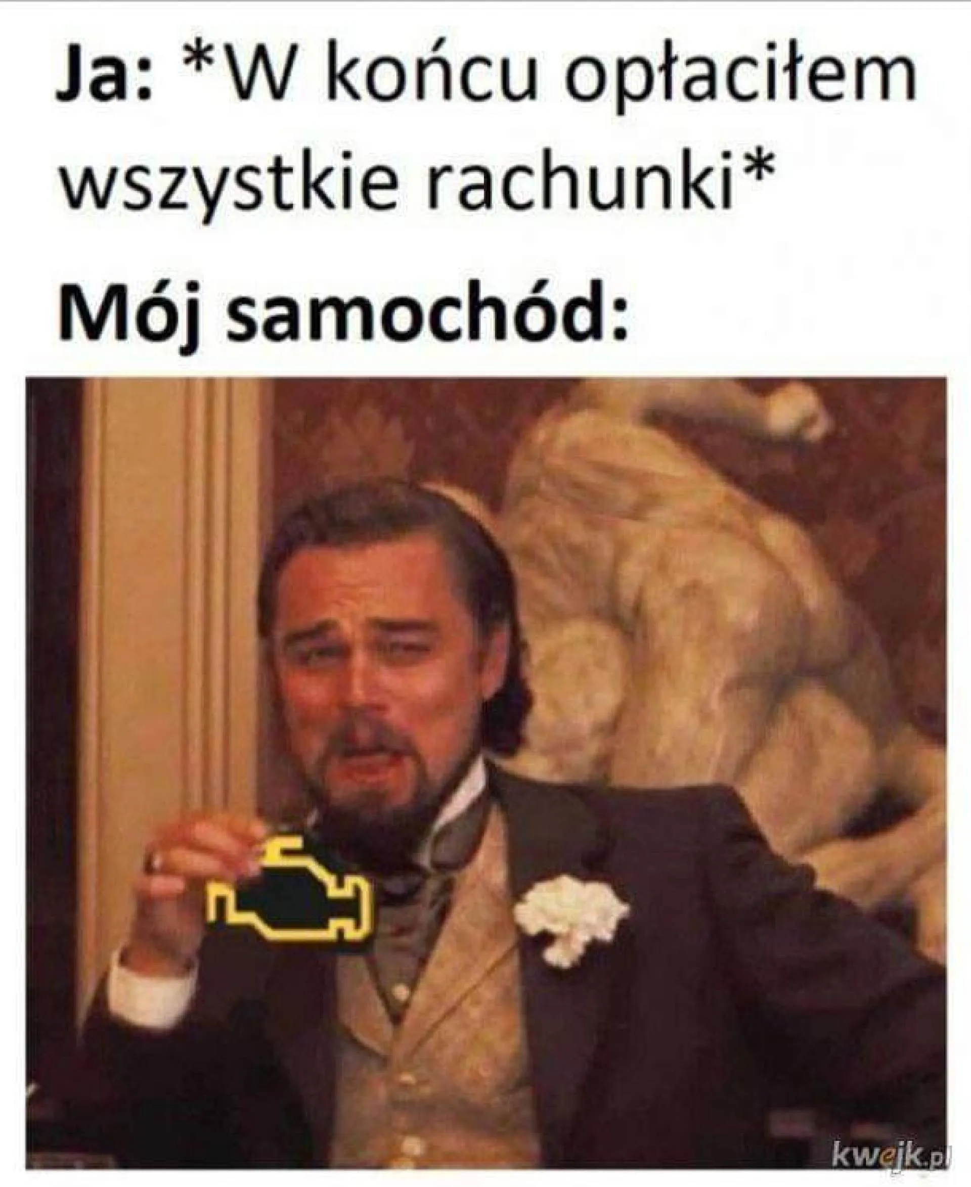 Wszystkie?
