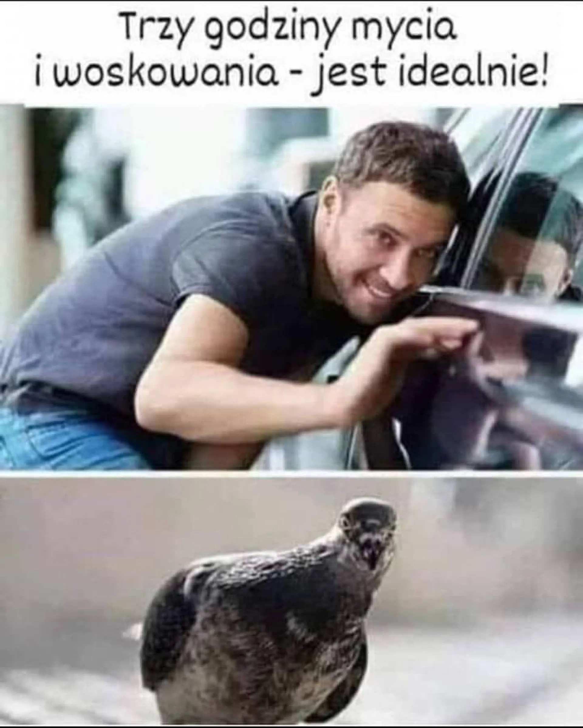 Czekaj