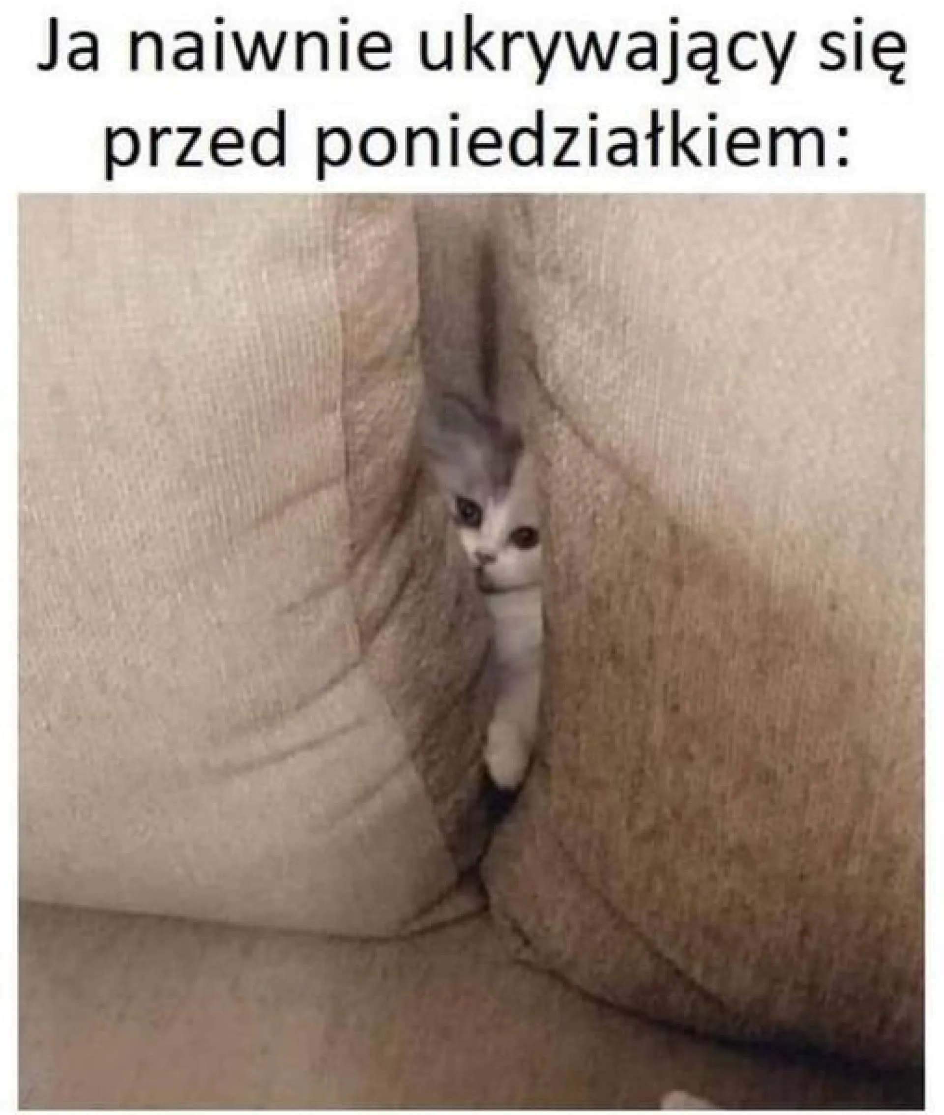 Ukrywa się