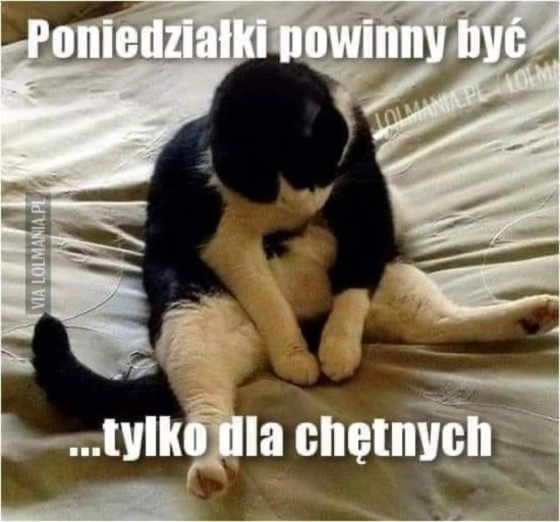 Ty jesteś chętny