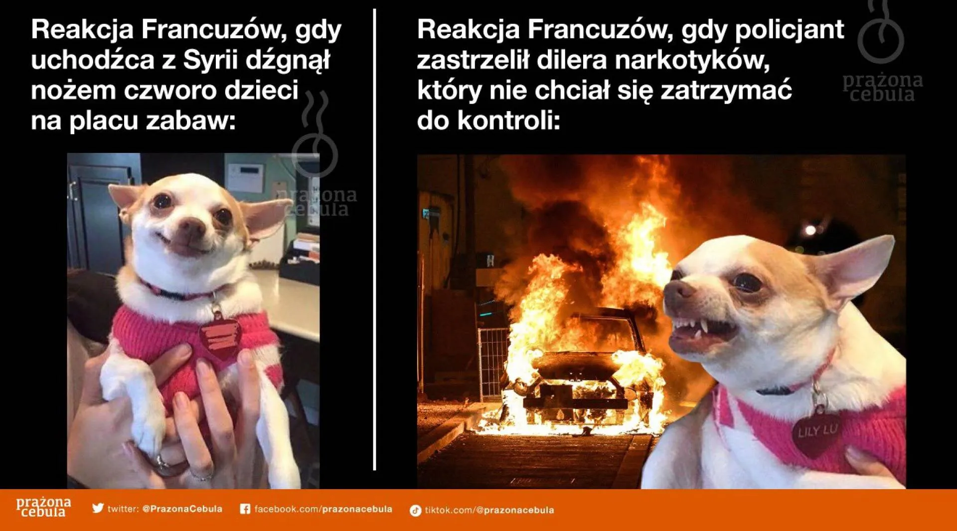 Francuzi