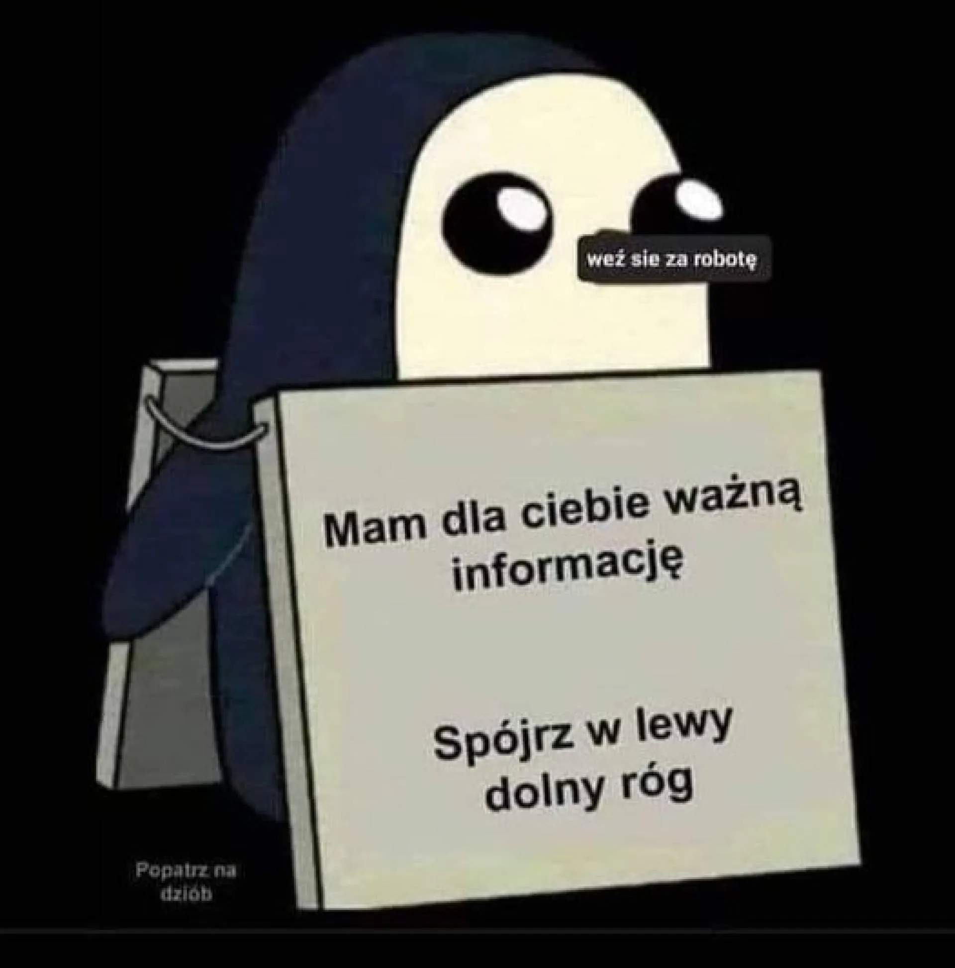 Robota