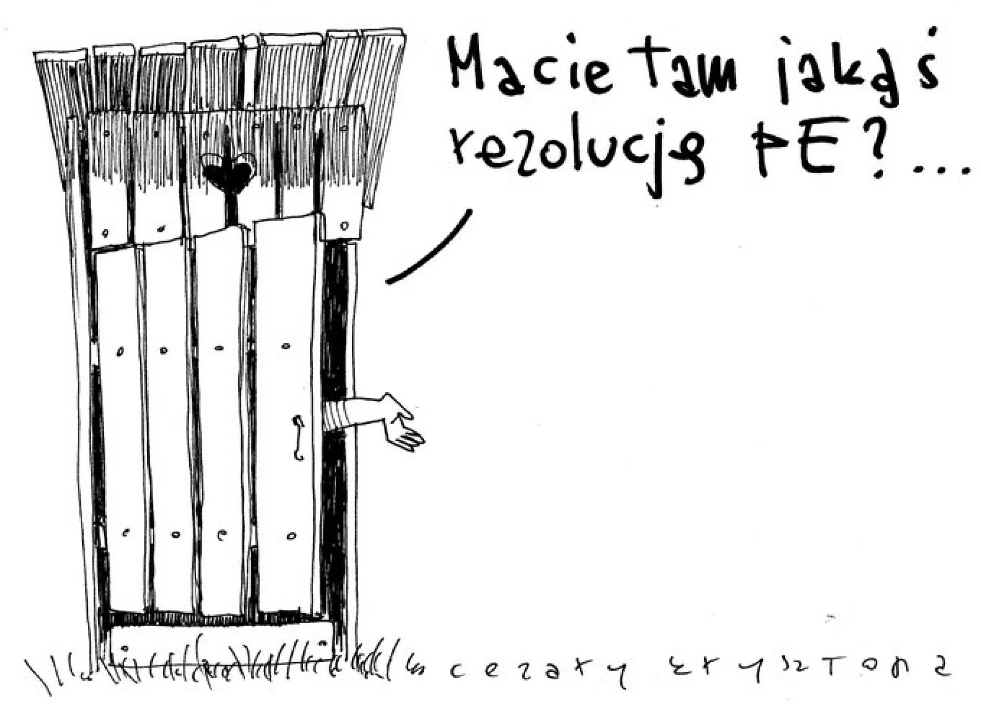 Rezolucje