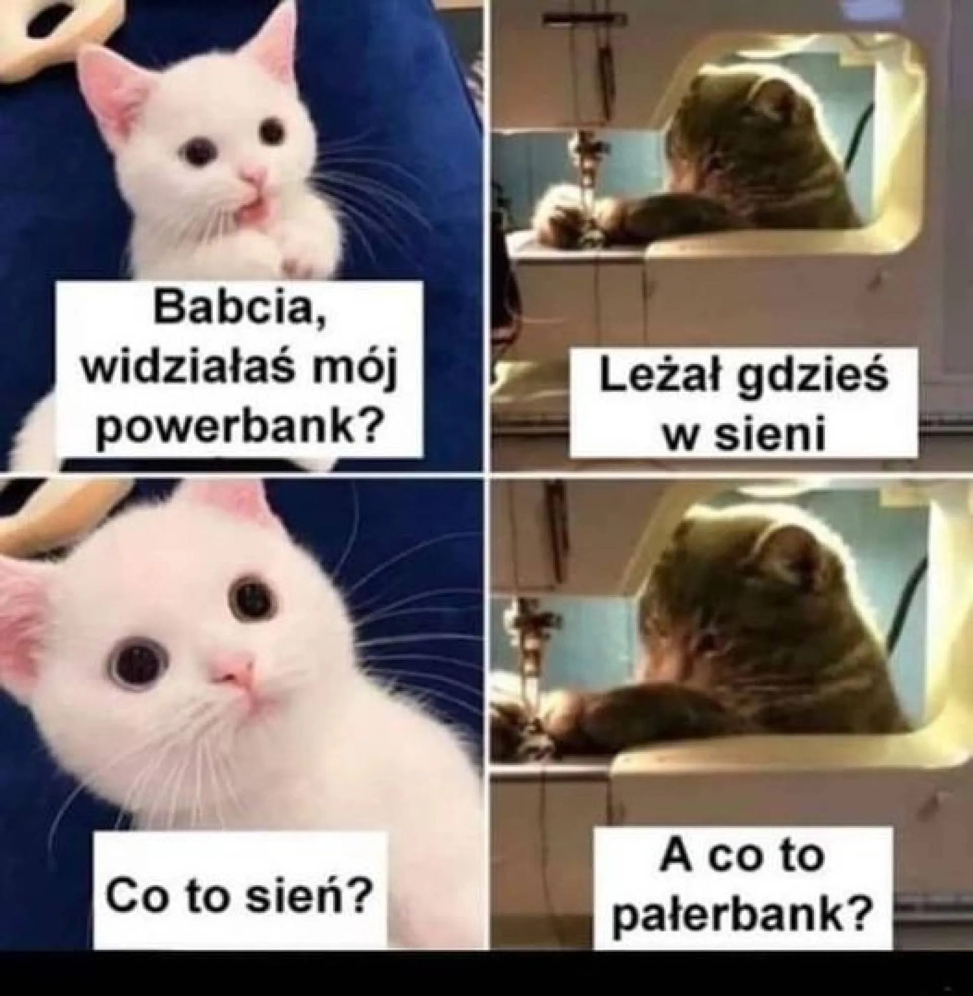 Sień
