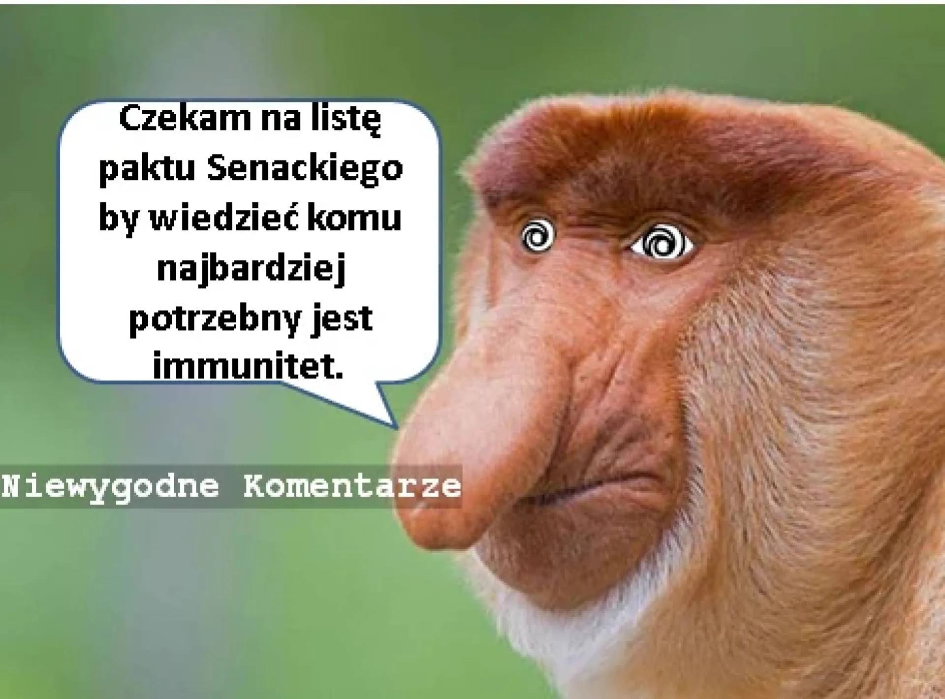 Immunitet