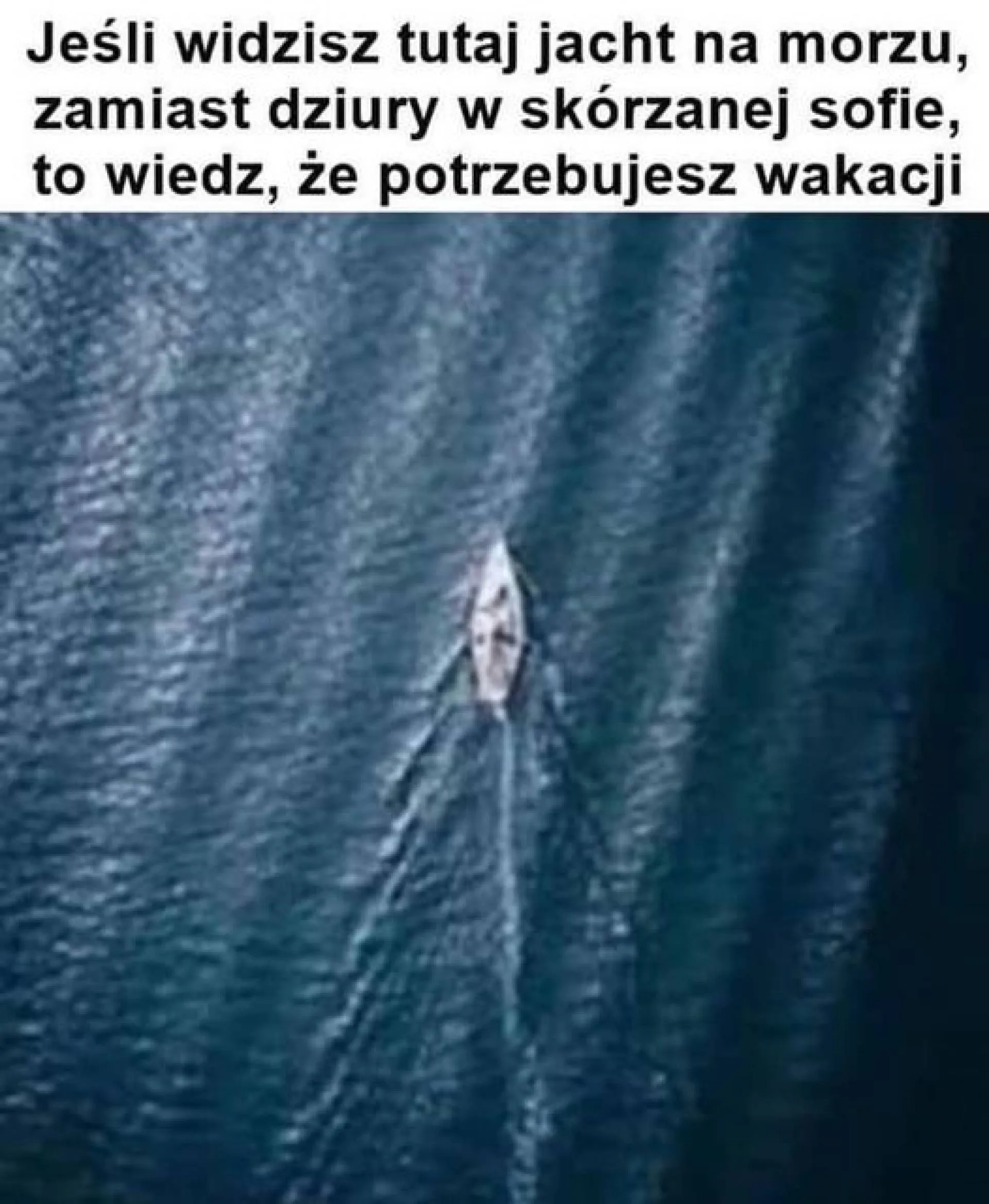 Urlop