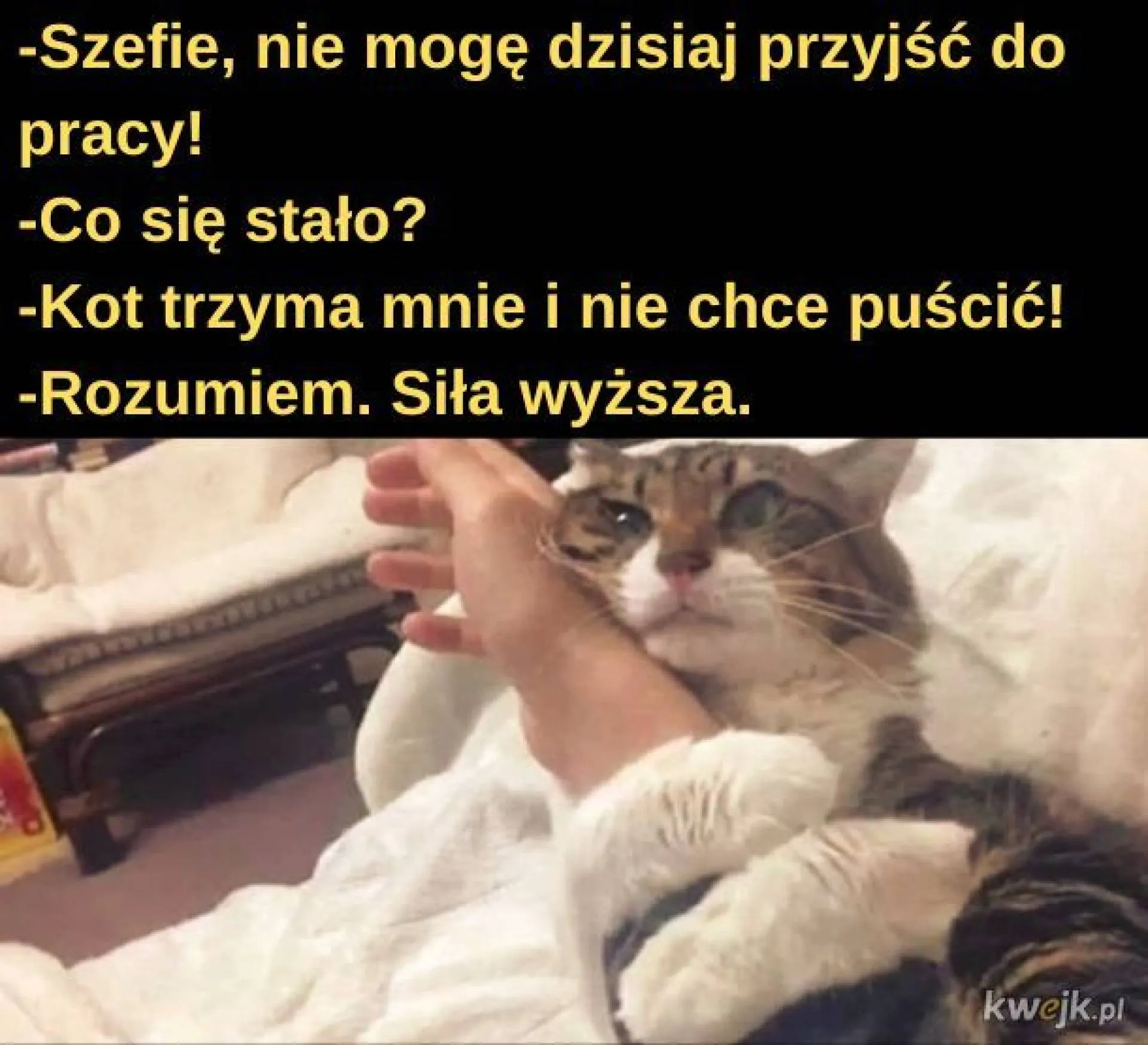 Szefie