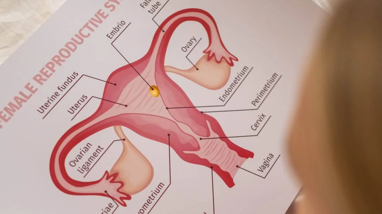 Przełom w leczeniu niewydolności jajników? Naukowcy proponują nowy rodzaj terapii