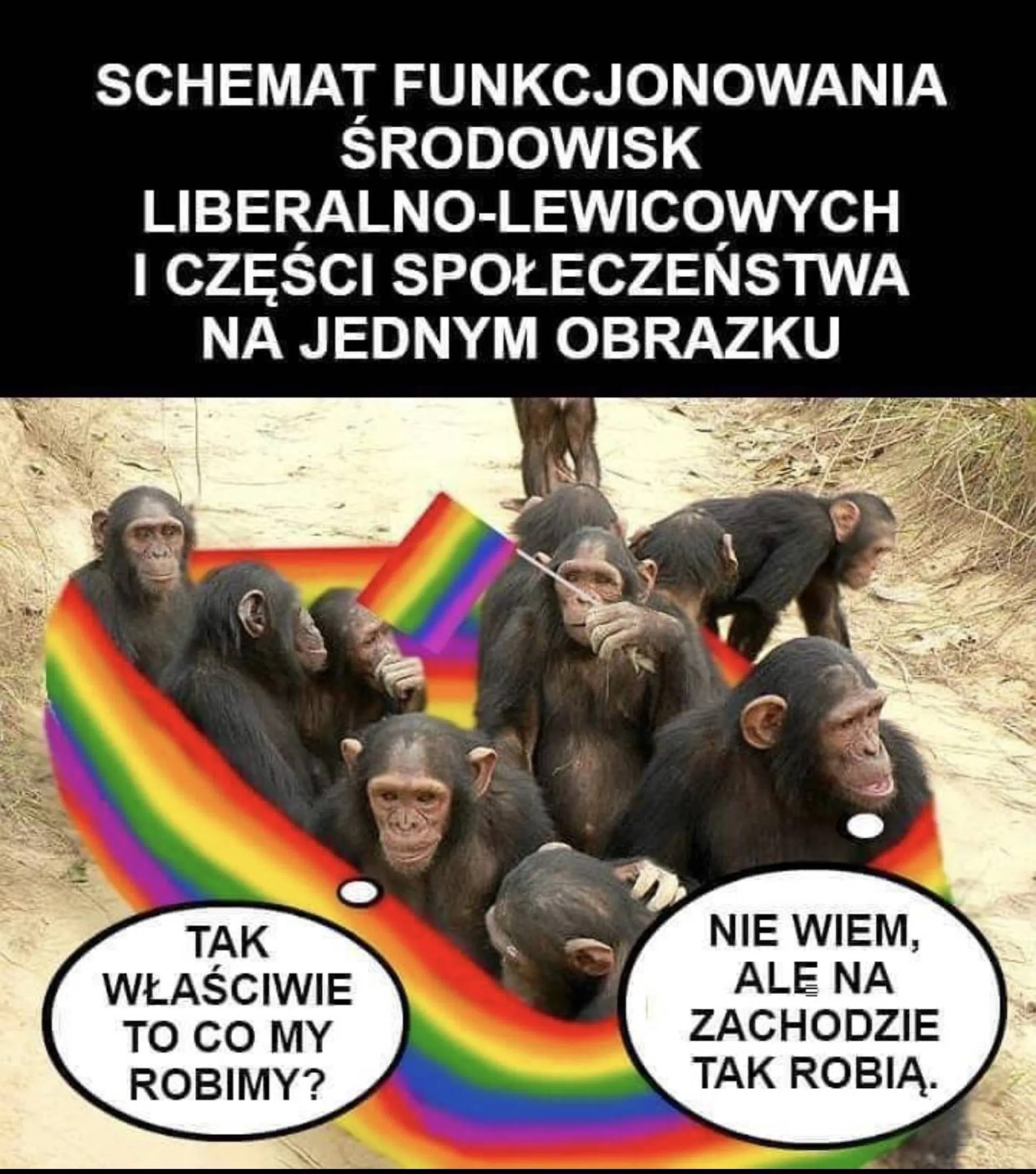 Co robimy?