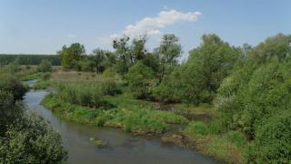 Rzeka Stobrawa - obszar chroniony w ramach programu Natura 2000