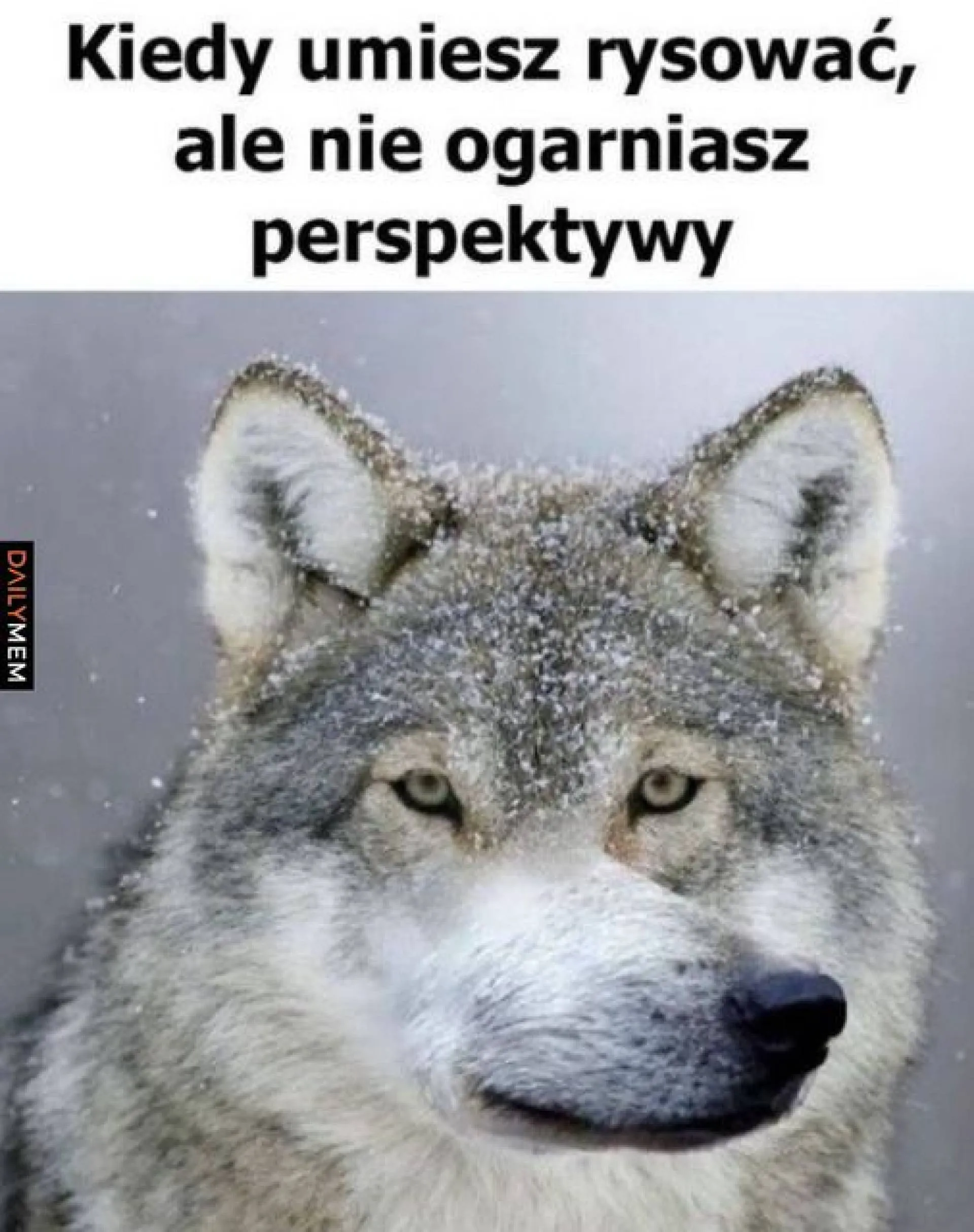 Perspektywa