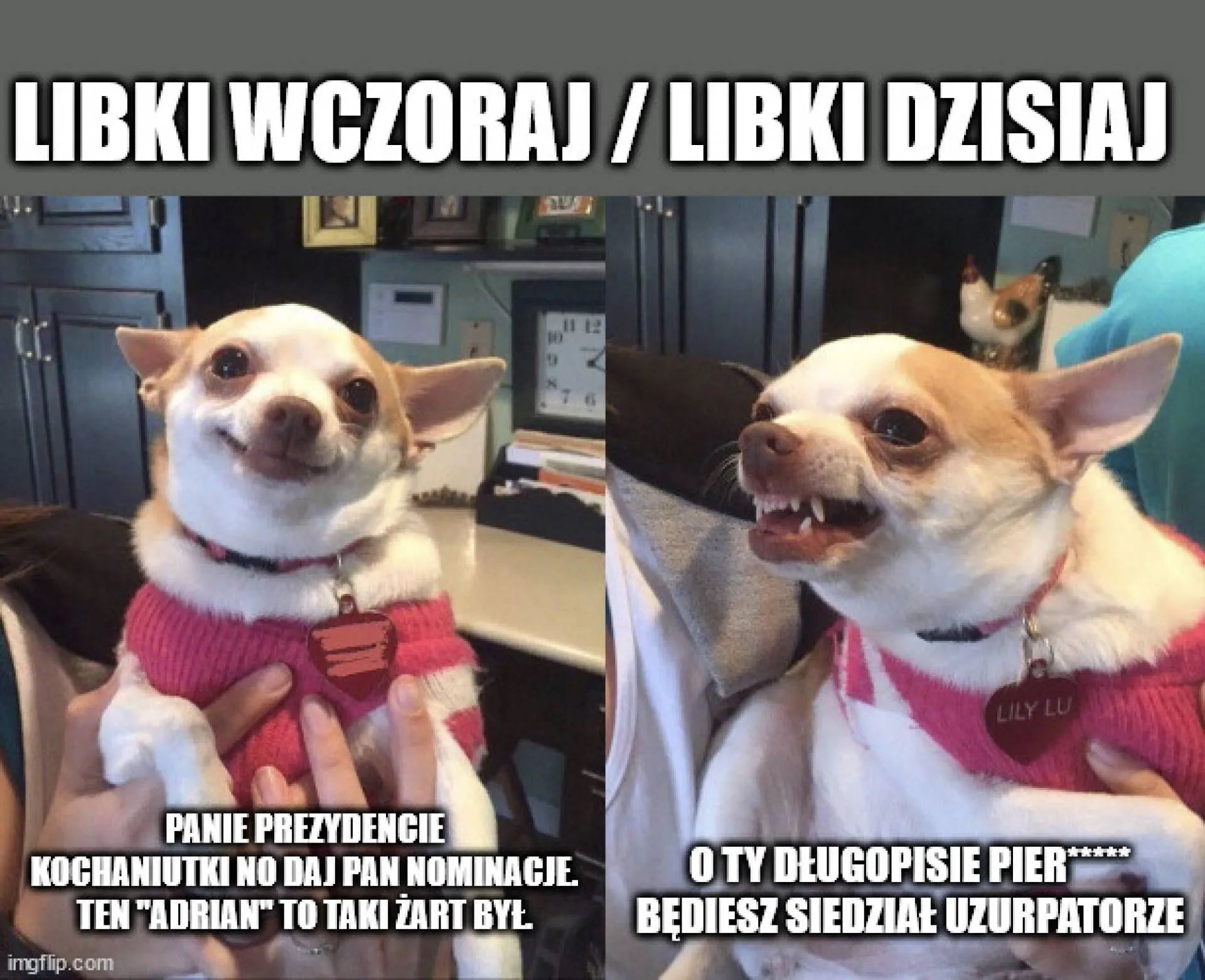 Libki