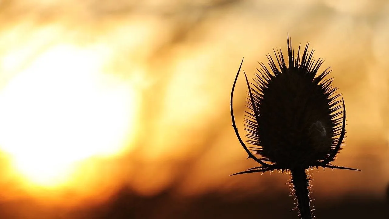 Przed nami słoneczny, ale i wietrzny dzień