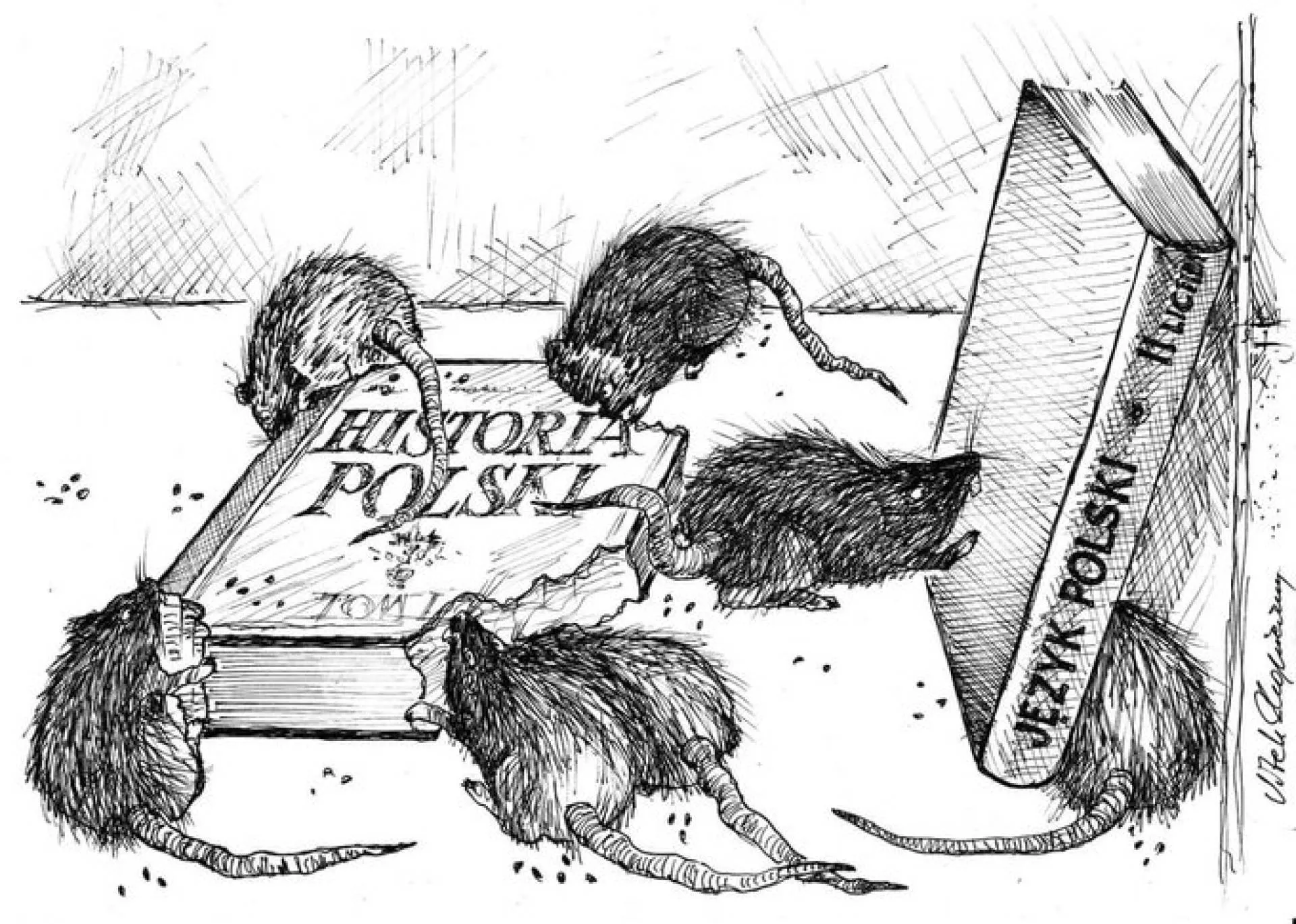 Początek reformy szkolnictwa