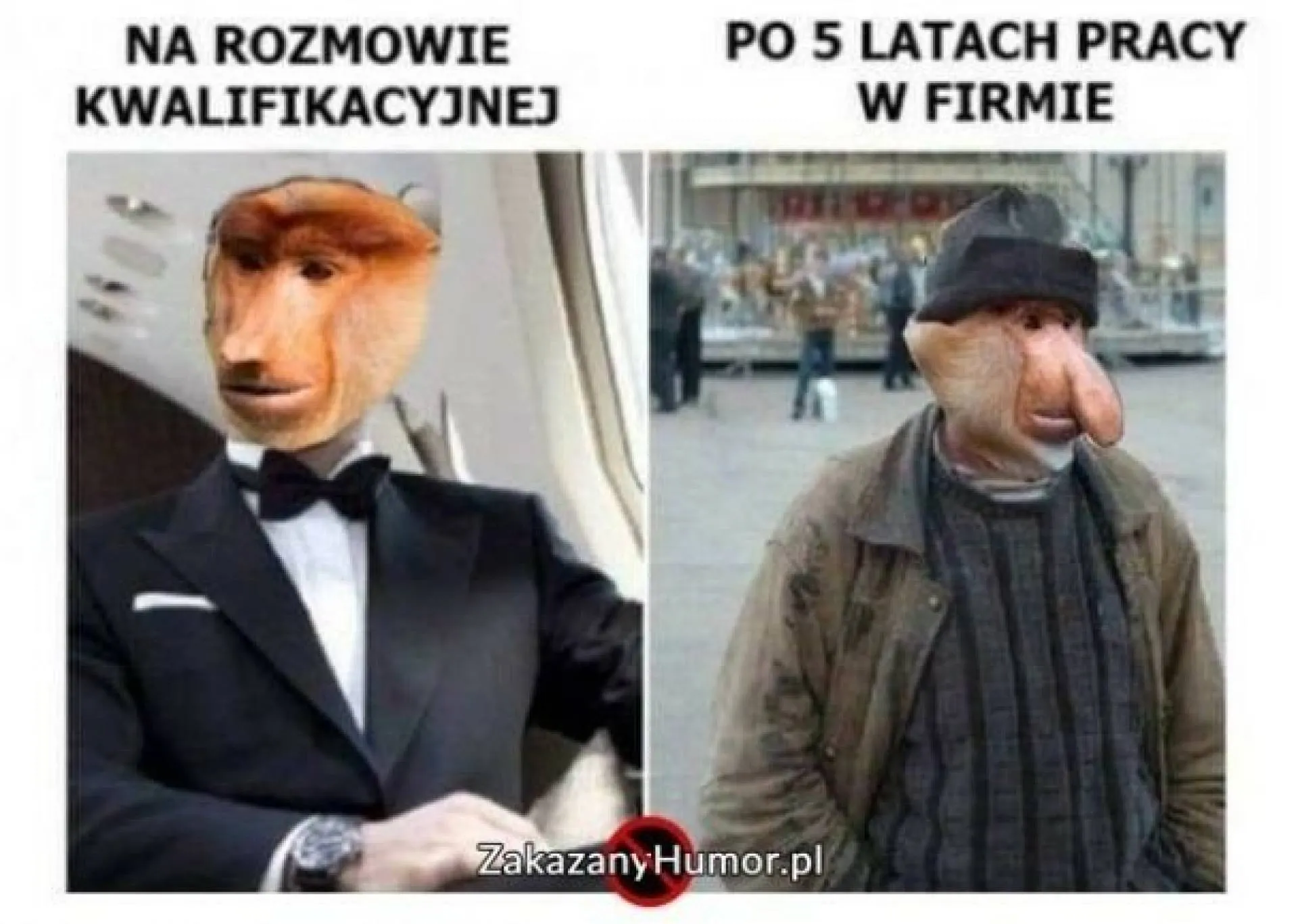Po pięciu latach