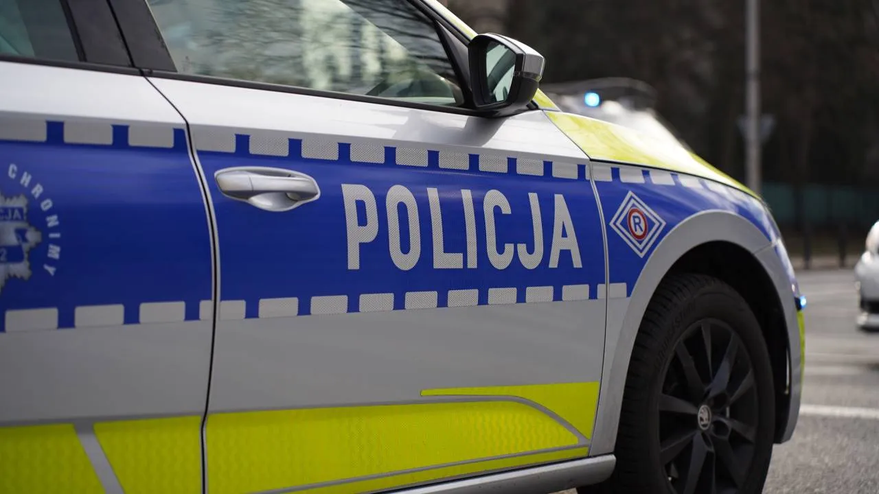 Zmarł trzylatek, który wpadł do stawu w Wielkopolsce