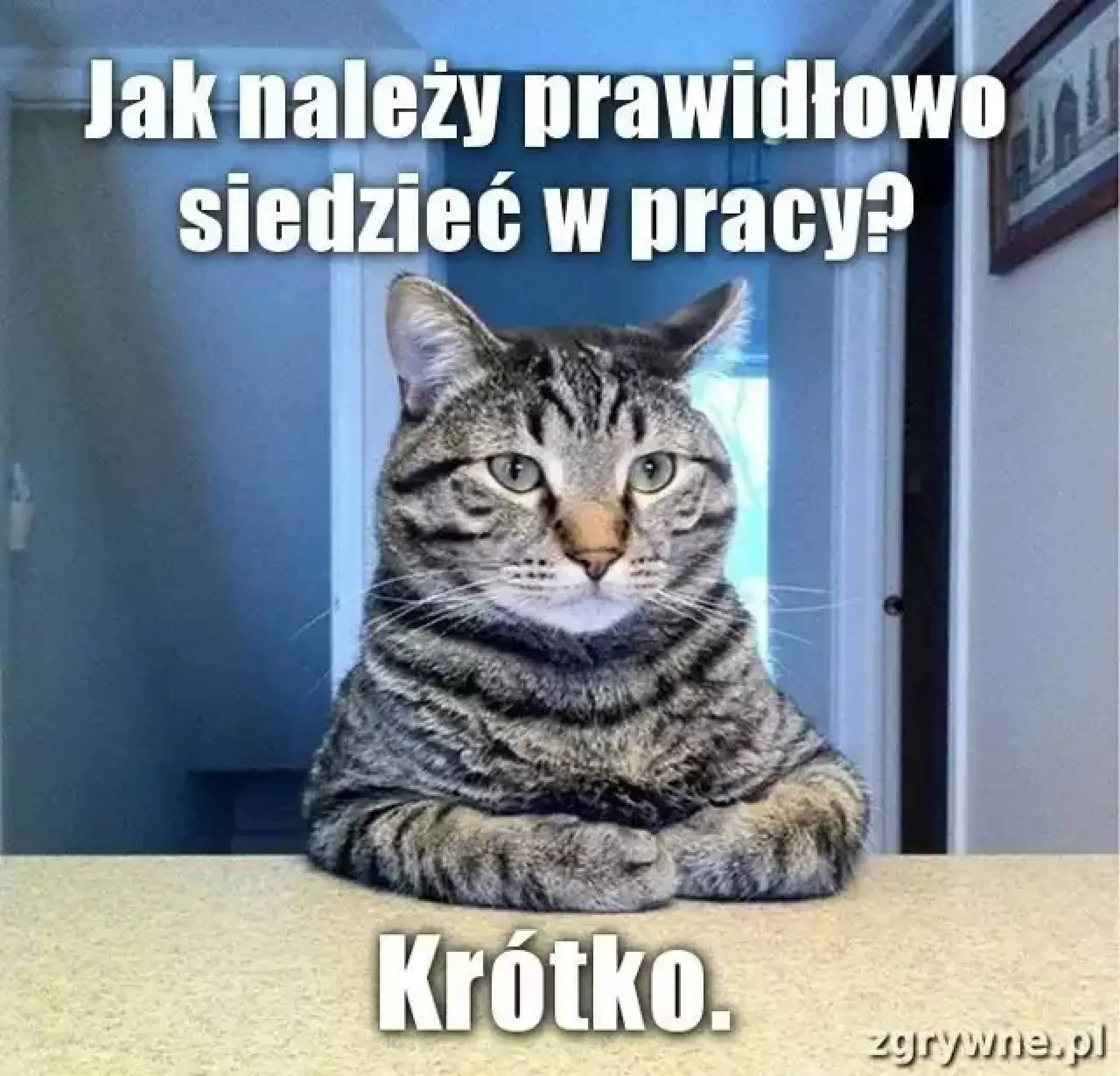 Prawidłowa postawa
