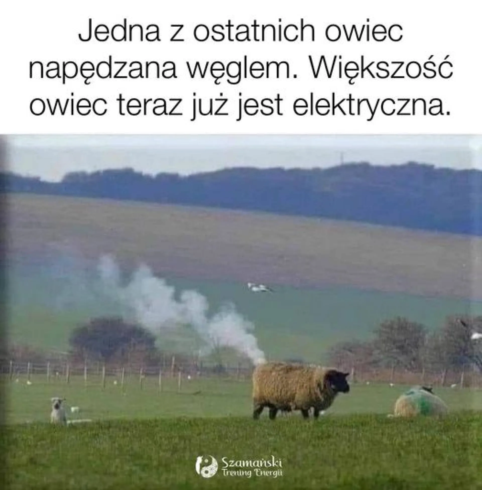 Oparła się postępowi