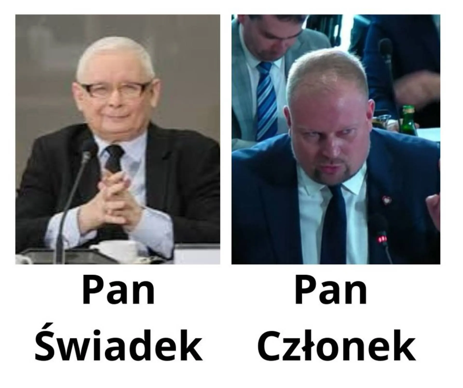 Świadek i członek