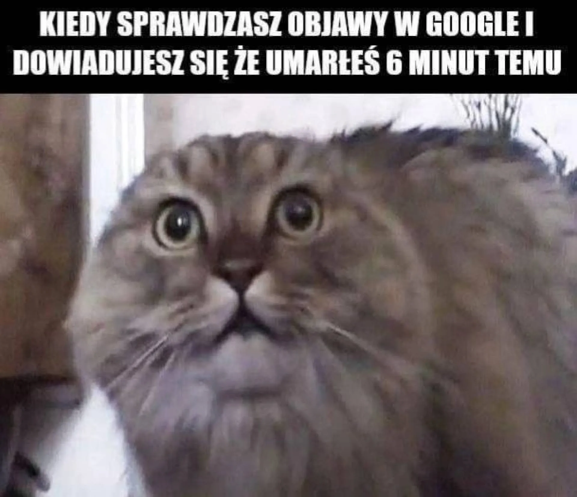 Objawy