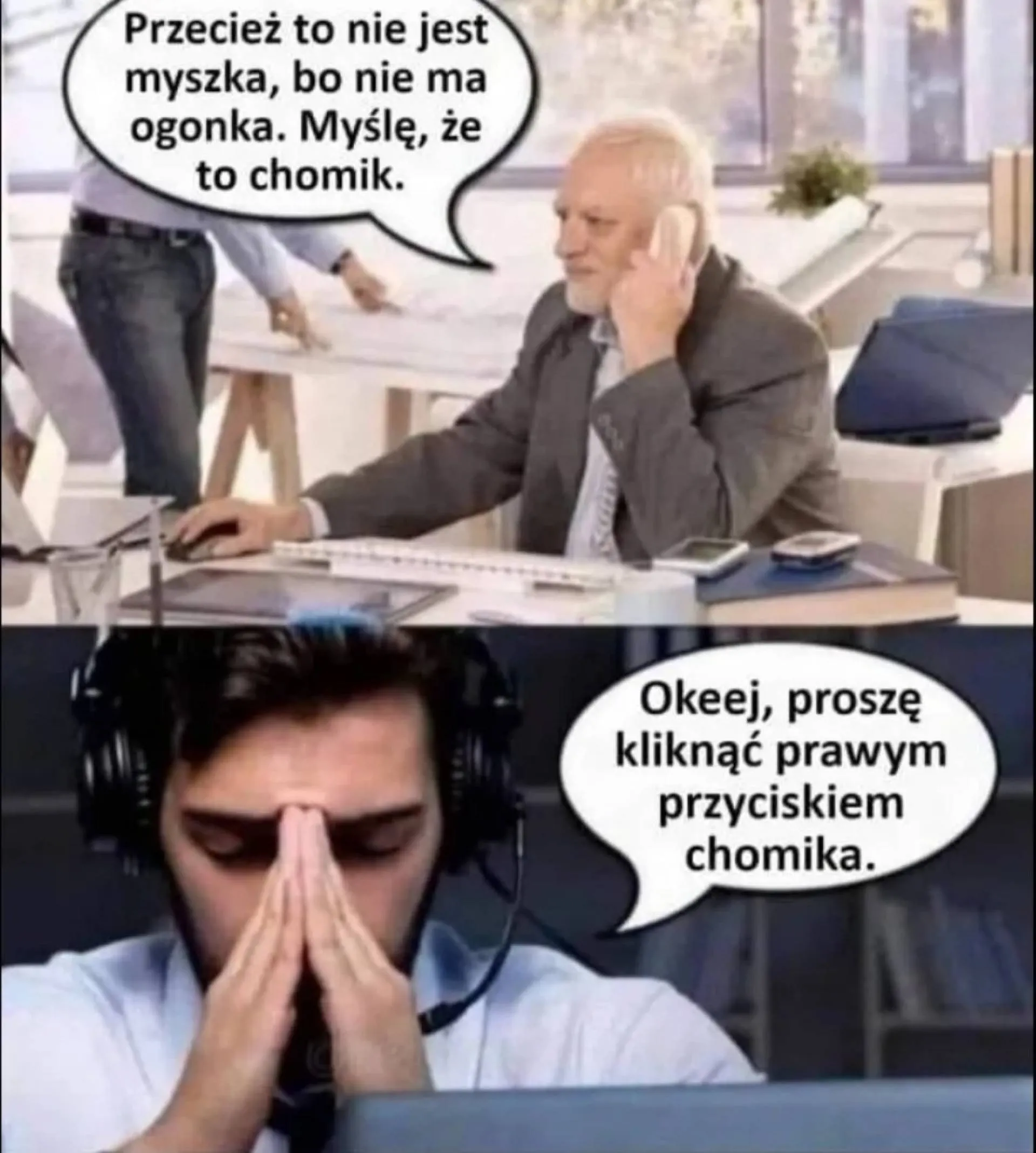 Chomik