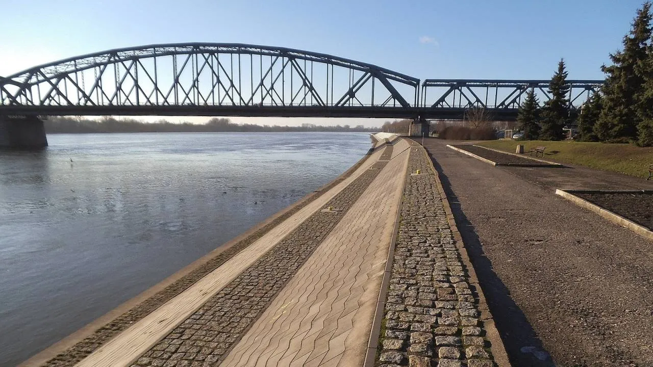 Nowy prezydent w Toruniu. Wyborcy podziękowali Zaleskiemu