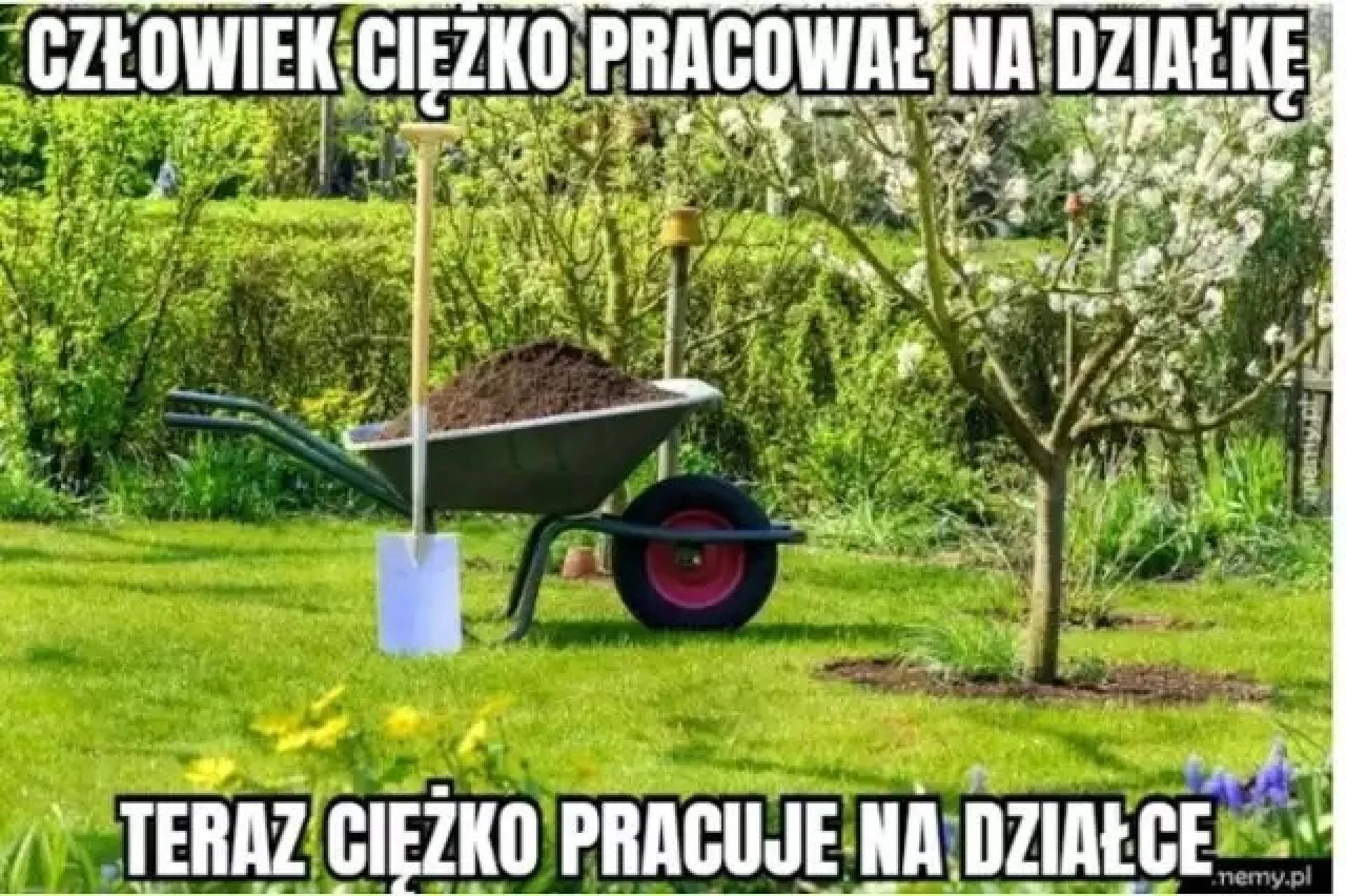 Majówka na działce