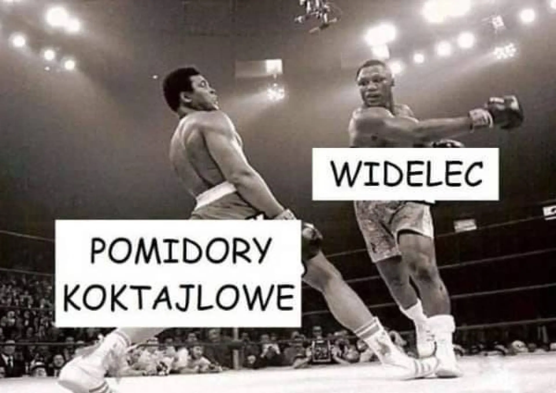 Unik pomidorów