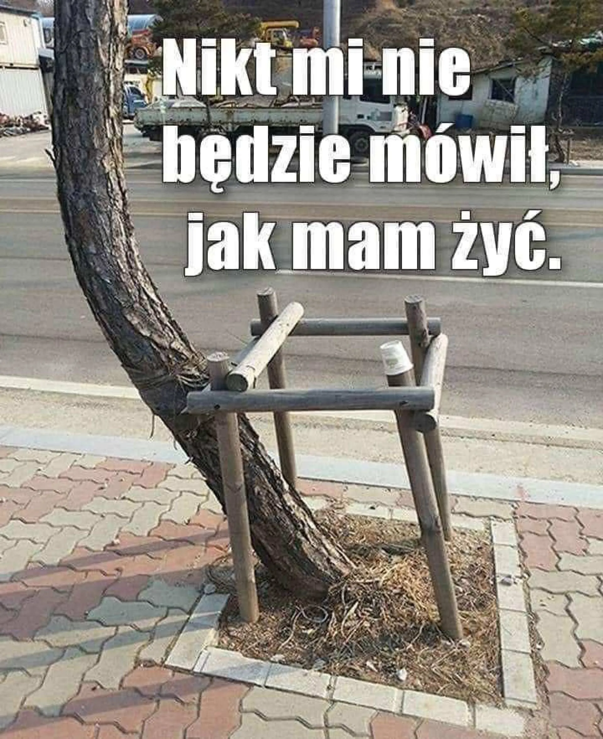 Samodzielność