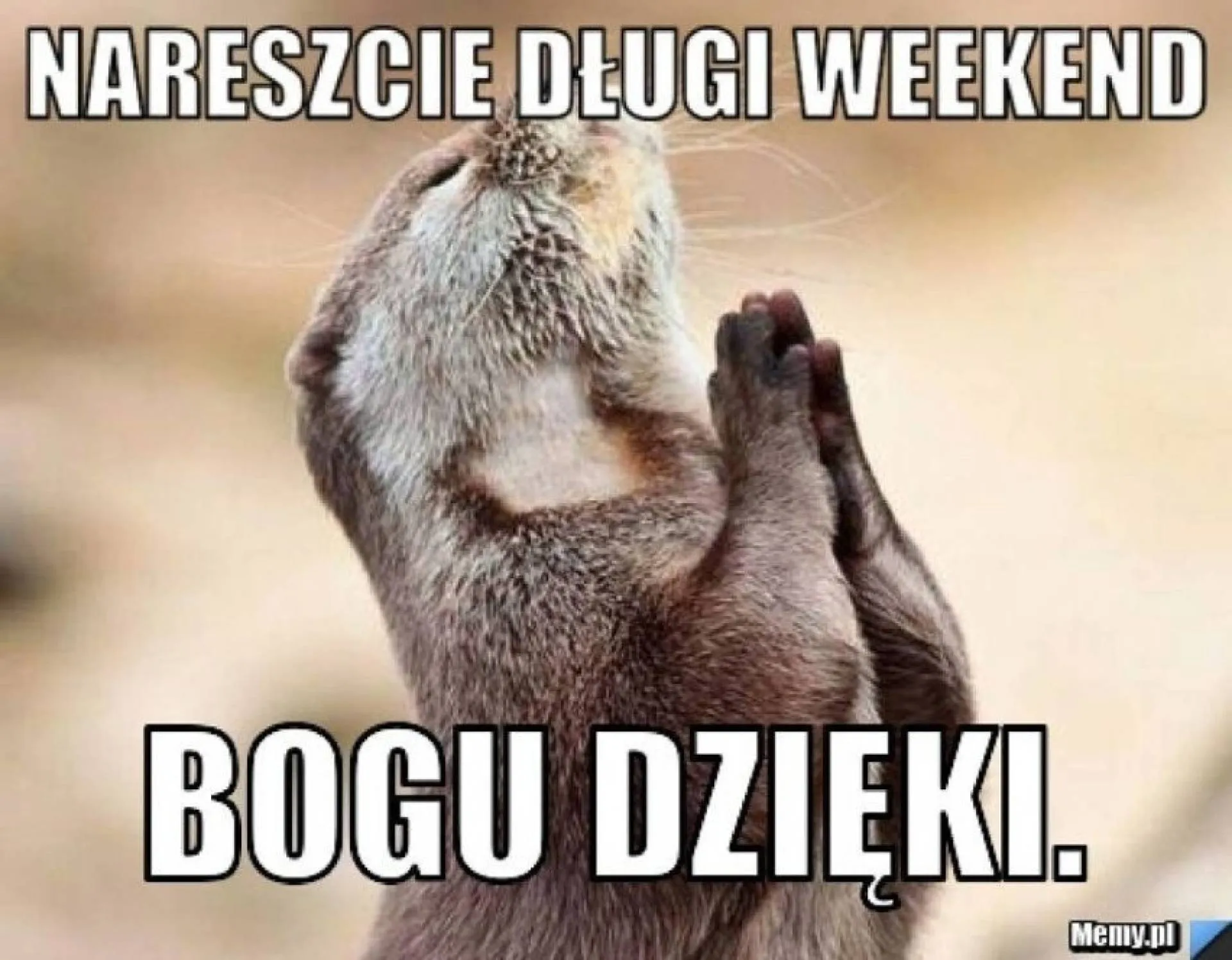 Dłuuugi weekend!