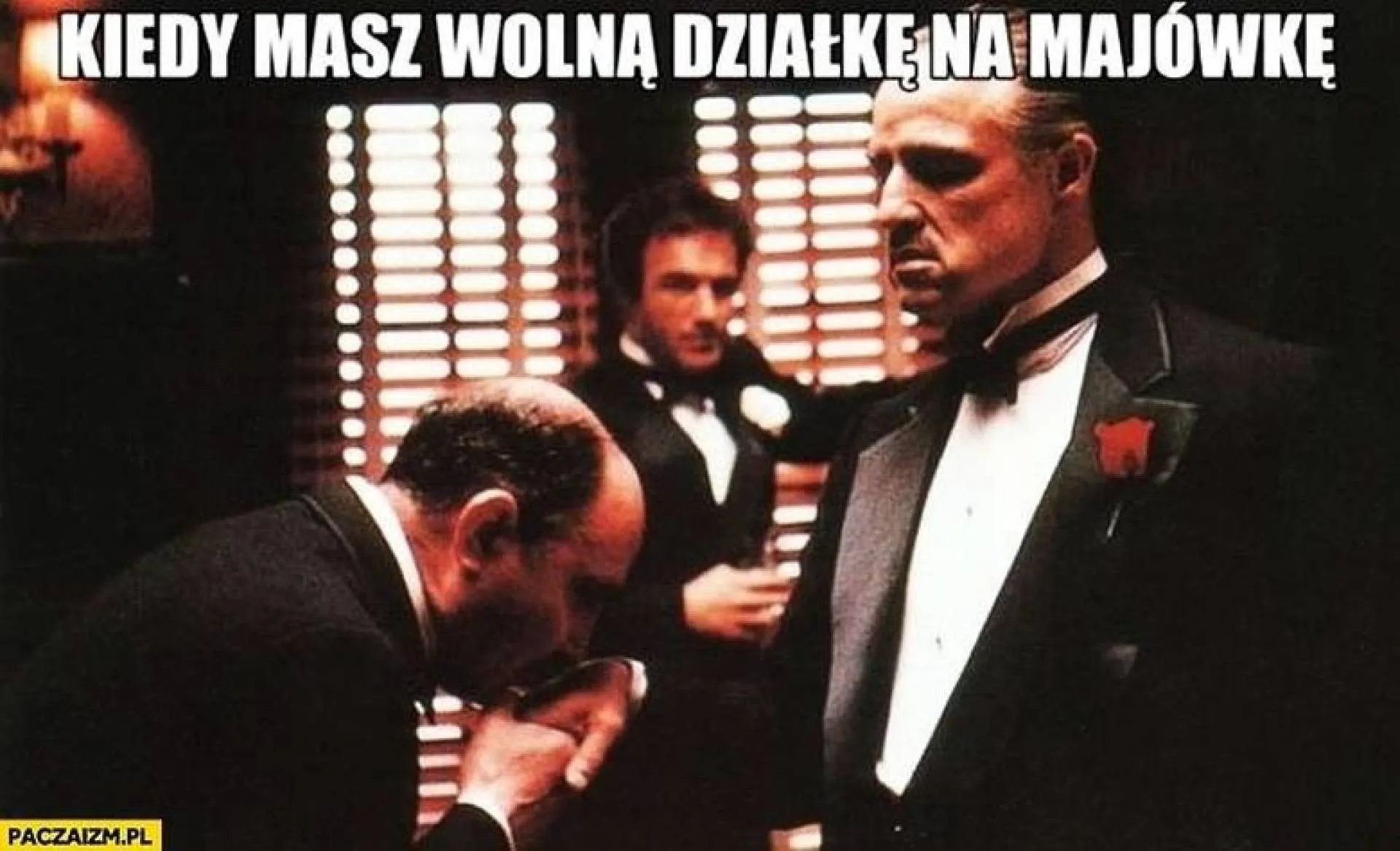 Wolna działka