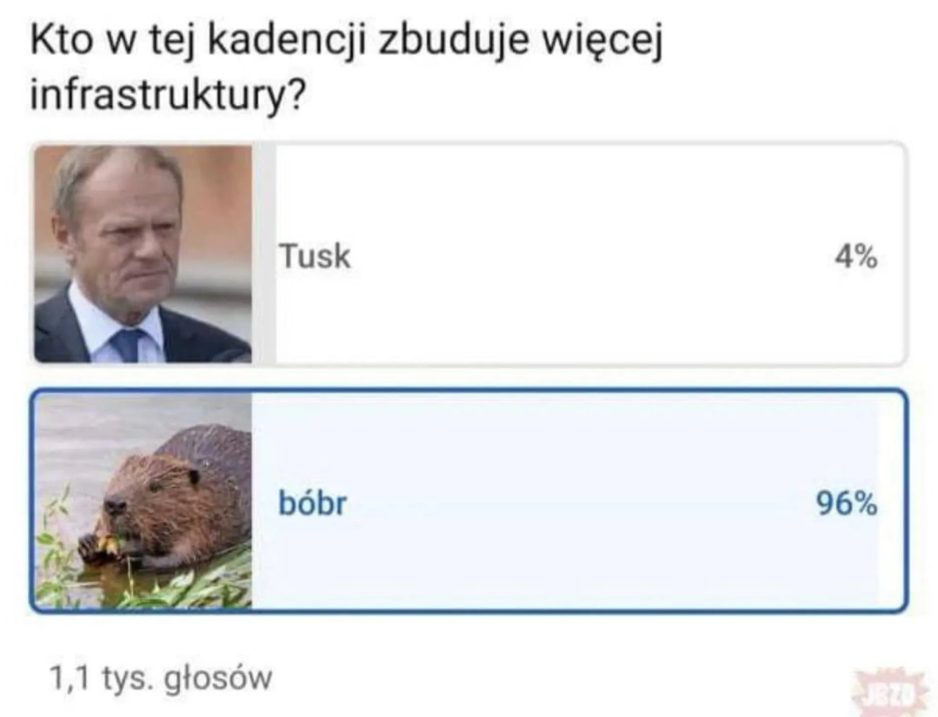 Tusk vs bóbr
