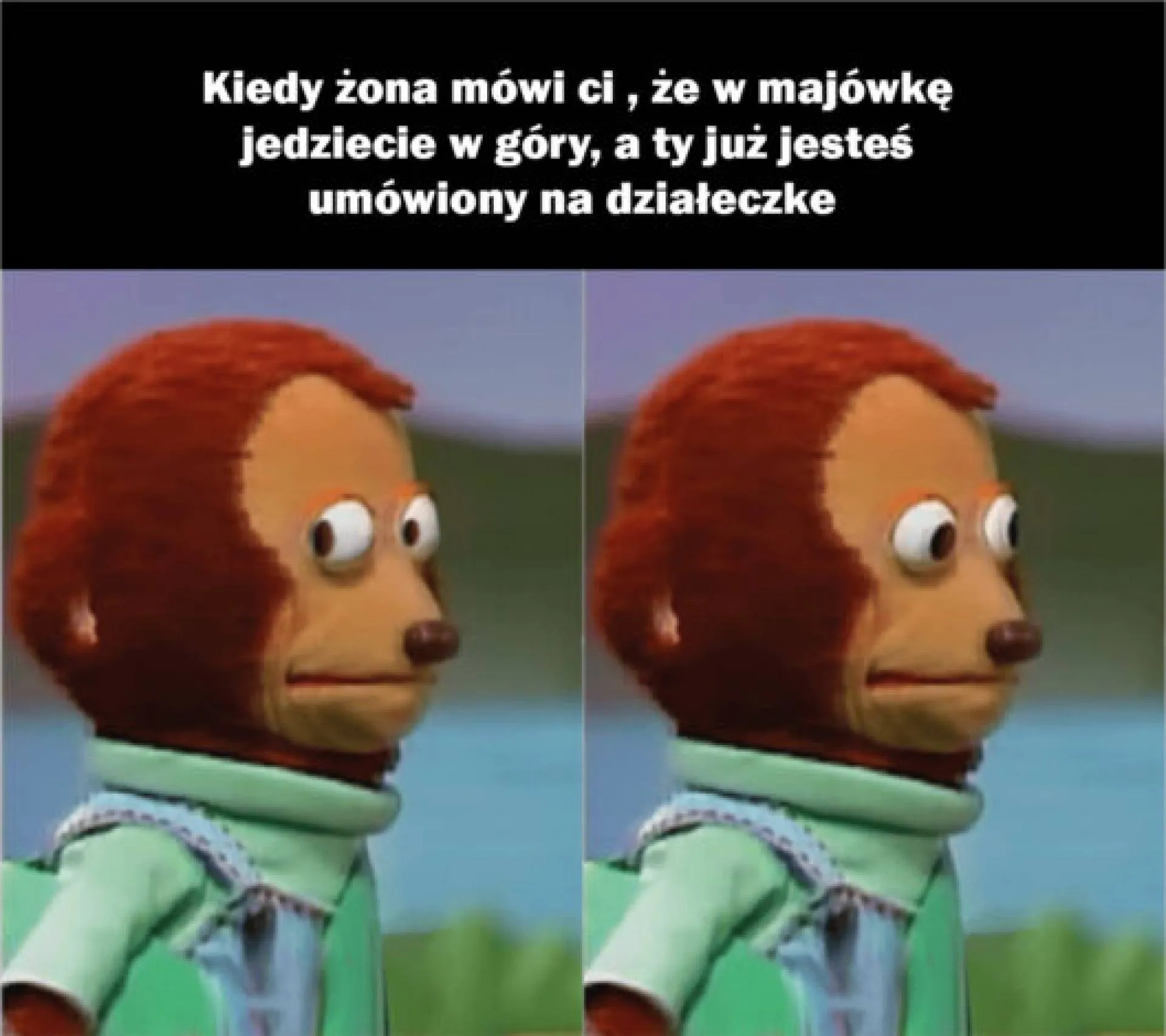 Polityka na wesoło - Najlepsze memy i dowcipy | Niezalezna.pl ...