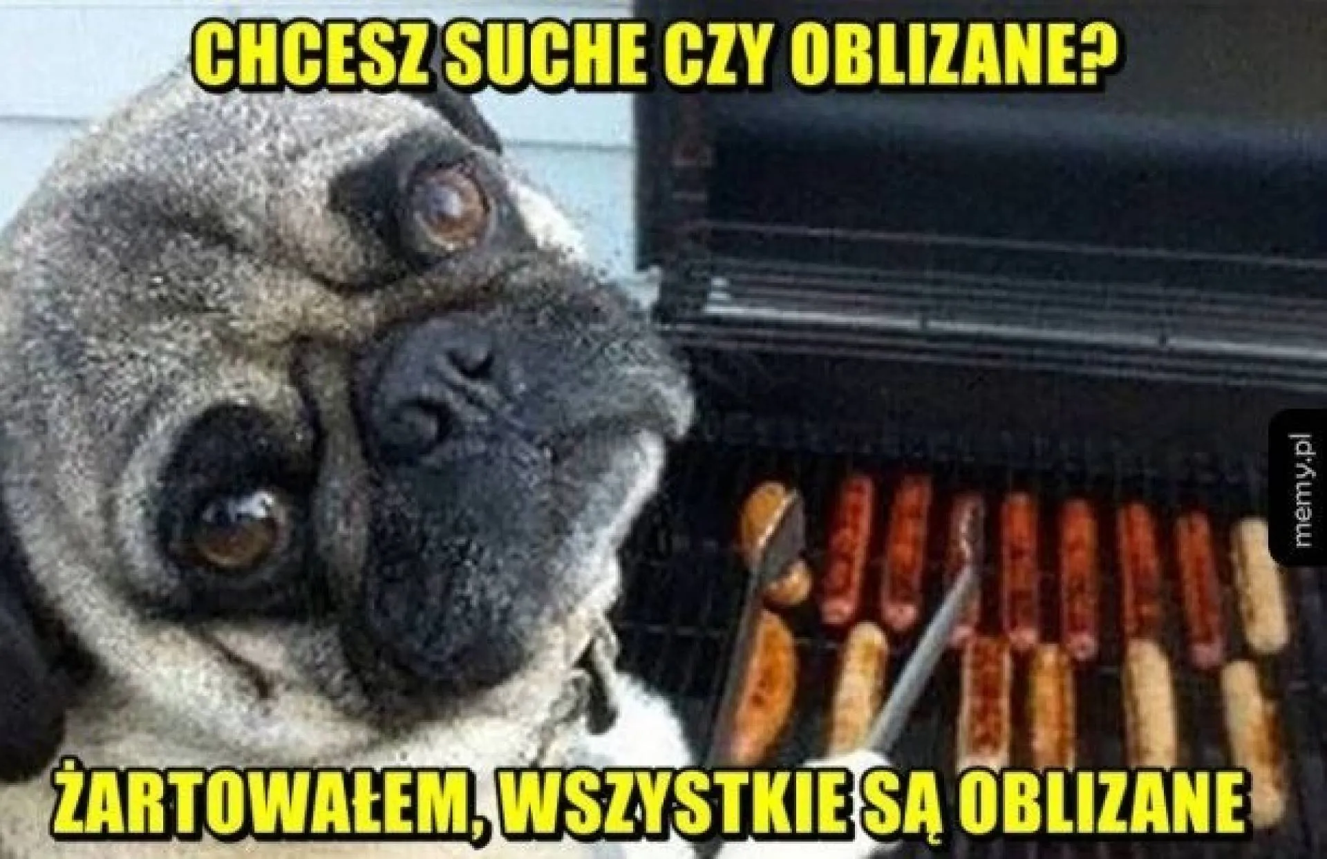 Grill z psem