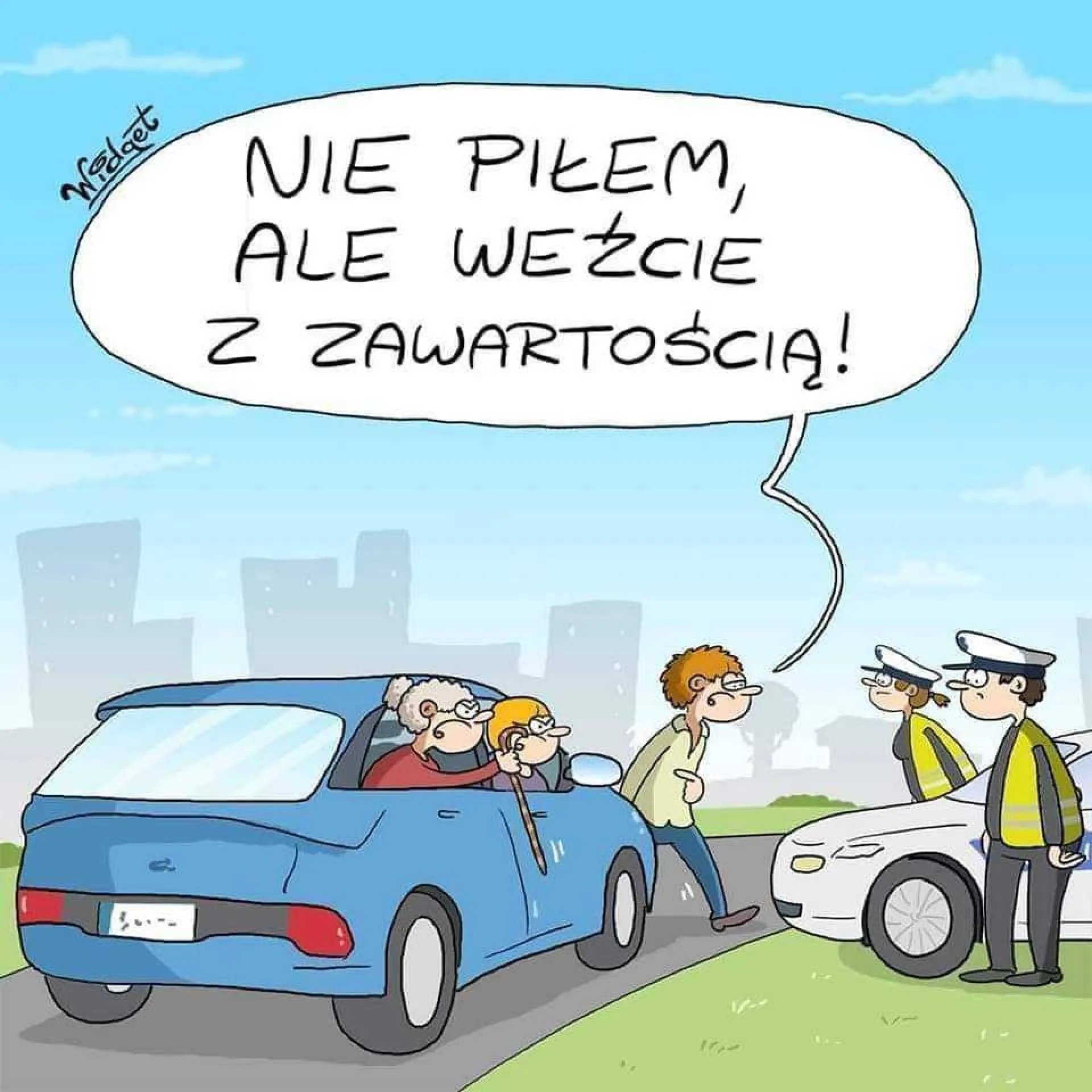Konfiskata auta