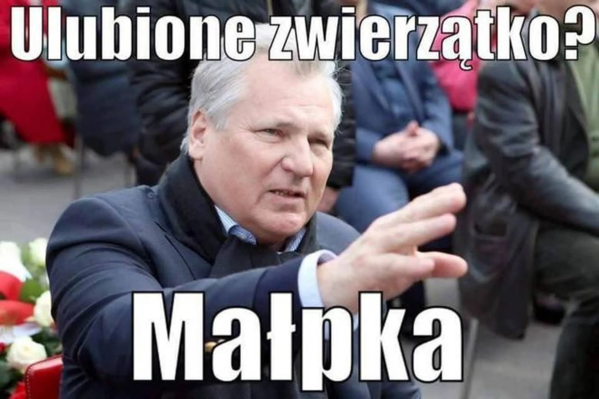Zwierzątko