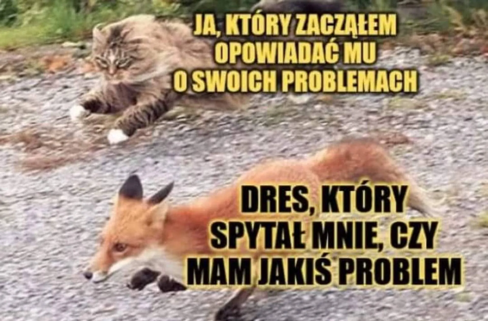 Problem