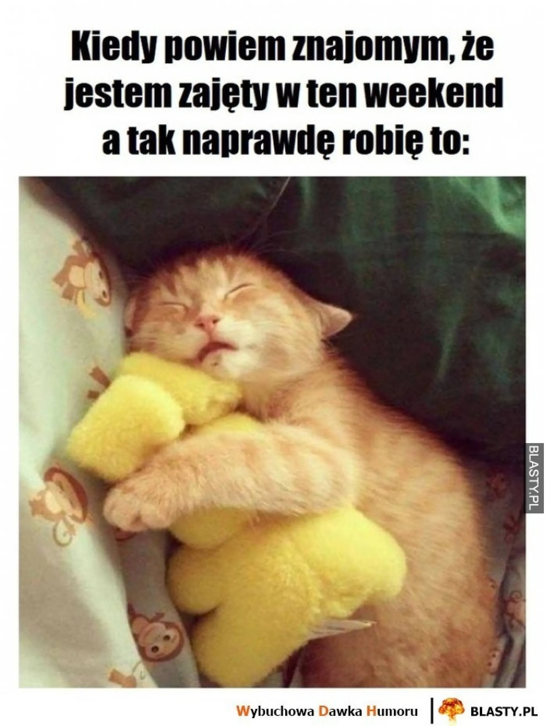 Zajęty?