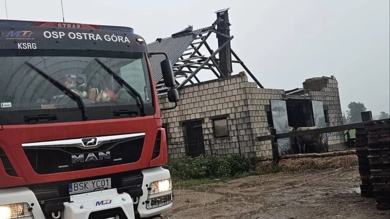 Niebezpieczne warunki atmosferyczne przyniosły strażakom ogrom pracy
