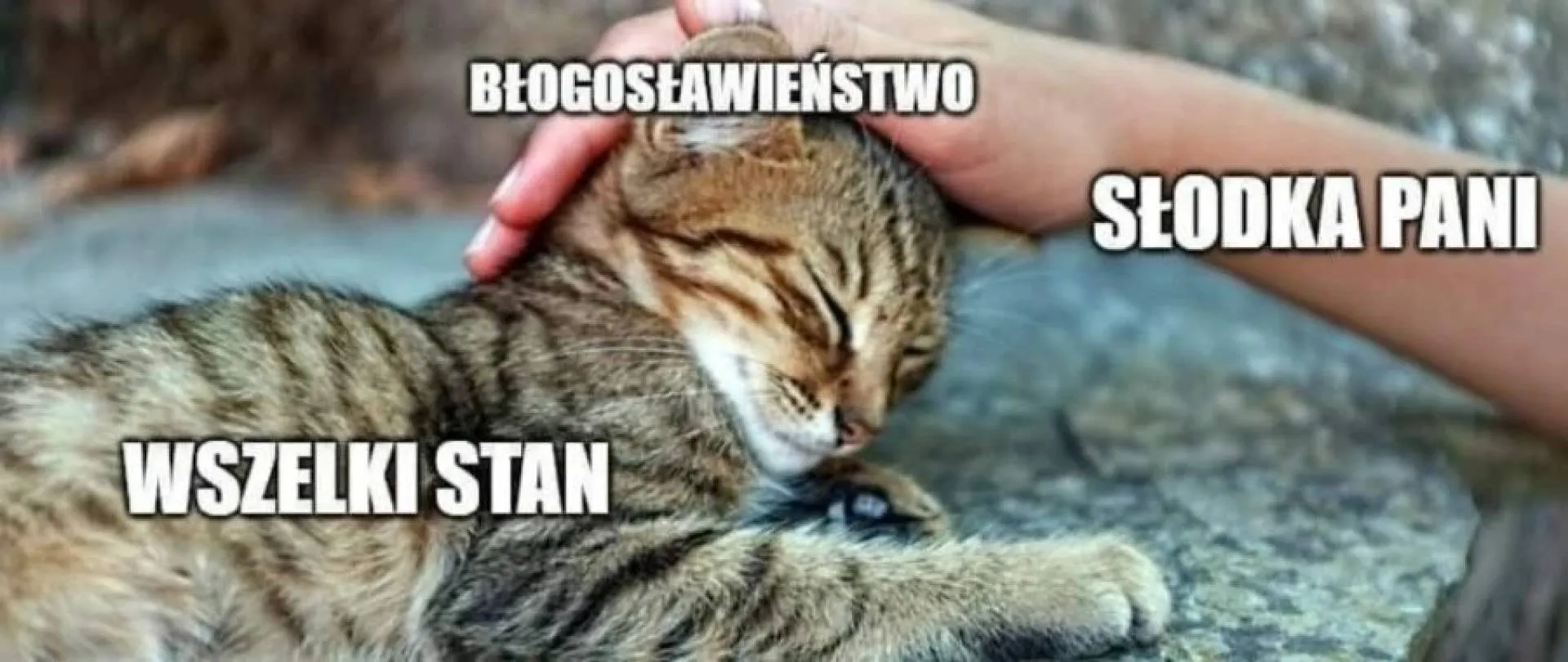 Dobra Pani