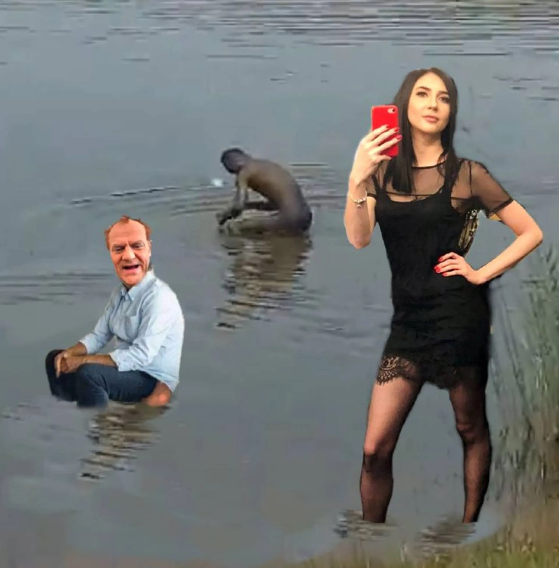 Staw w Katowicach