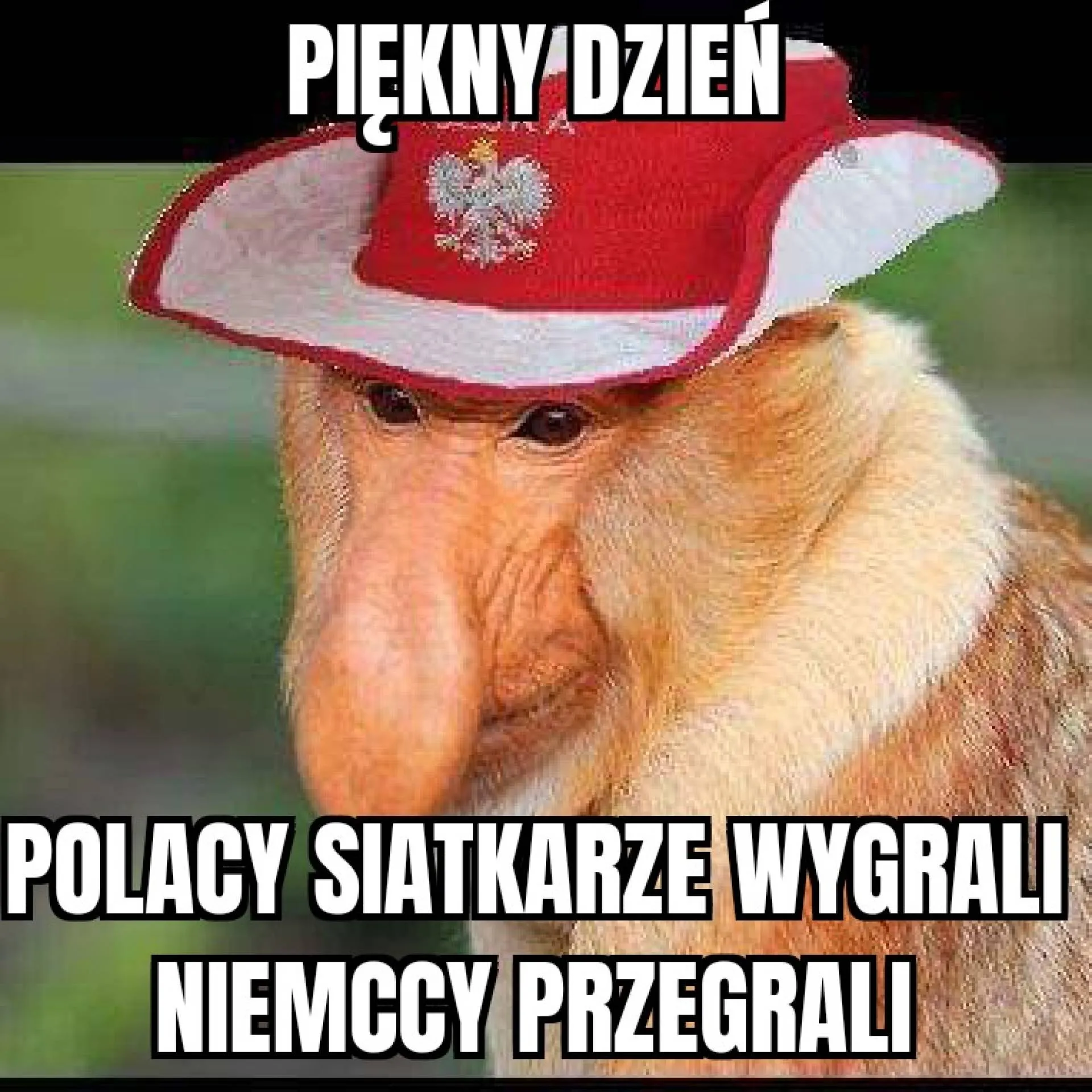 A Niemcy...