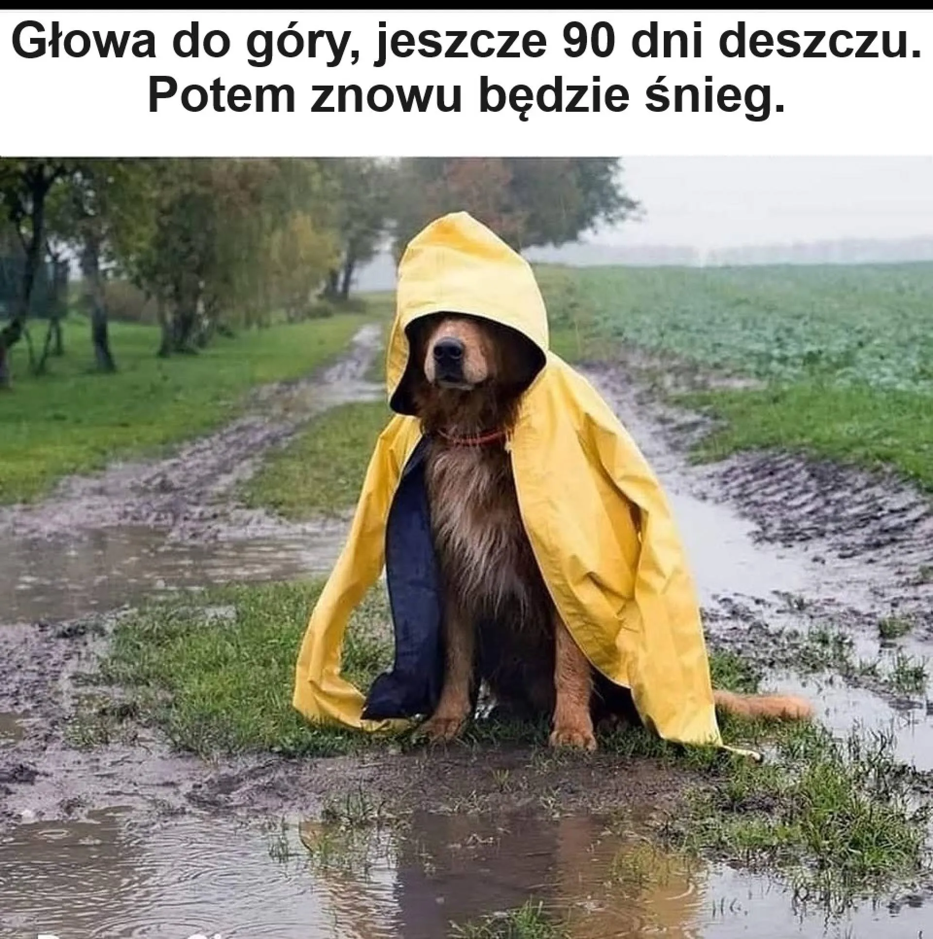 Wkrótce jesień