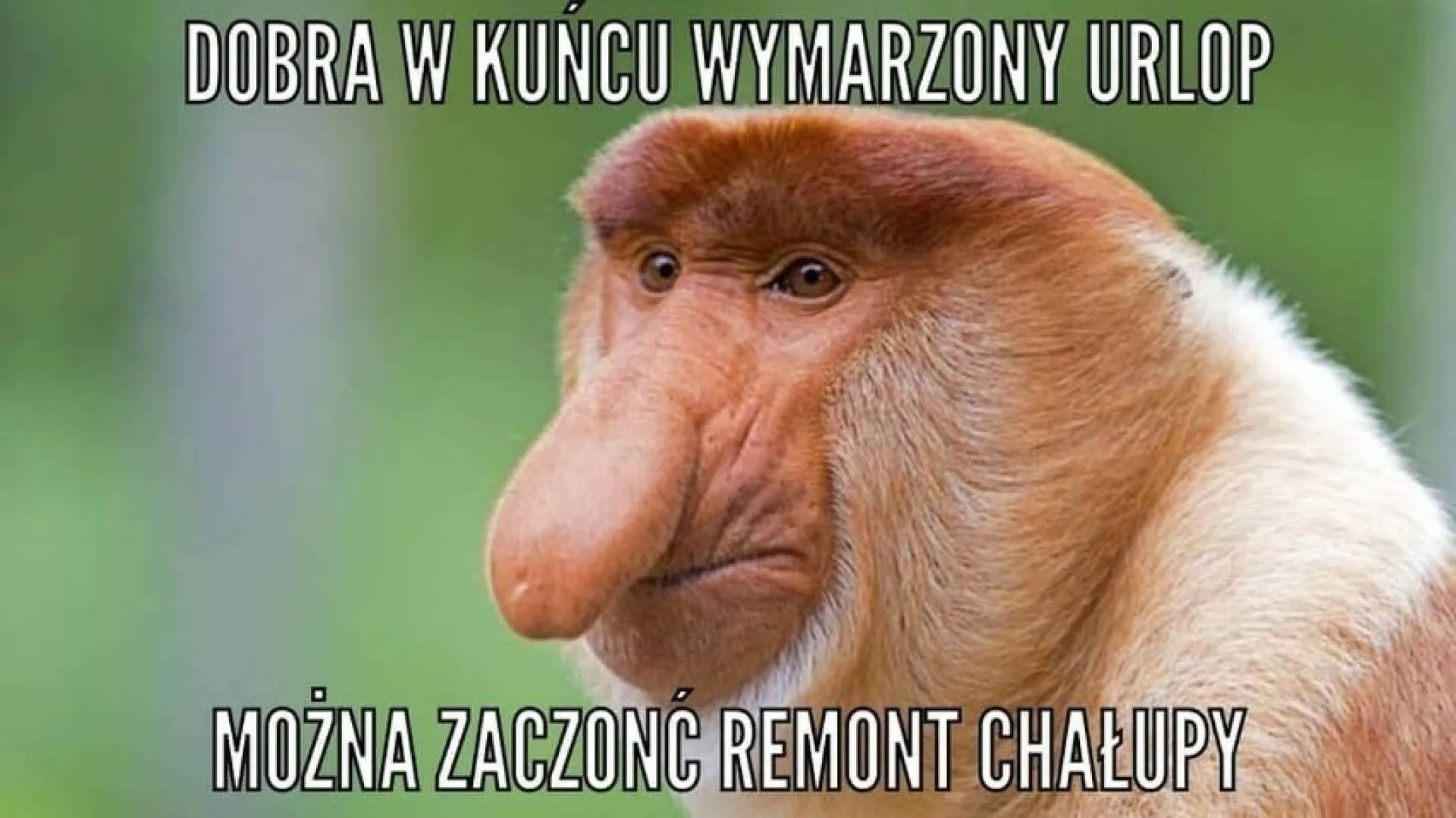 Wymarzony...