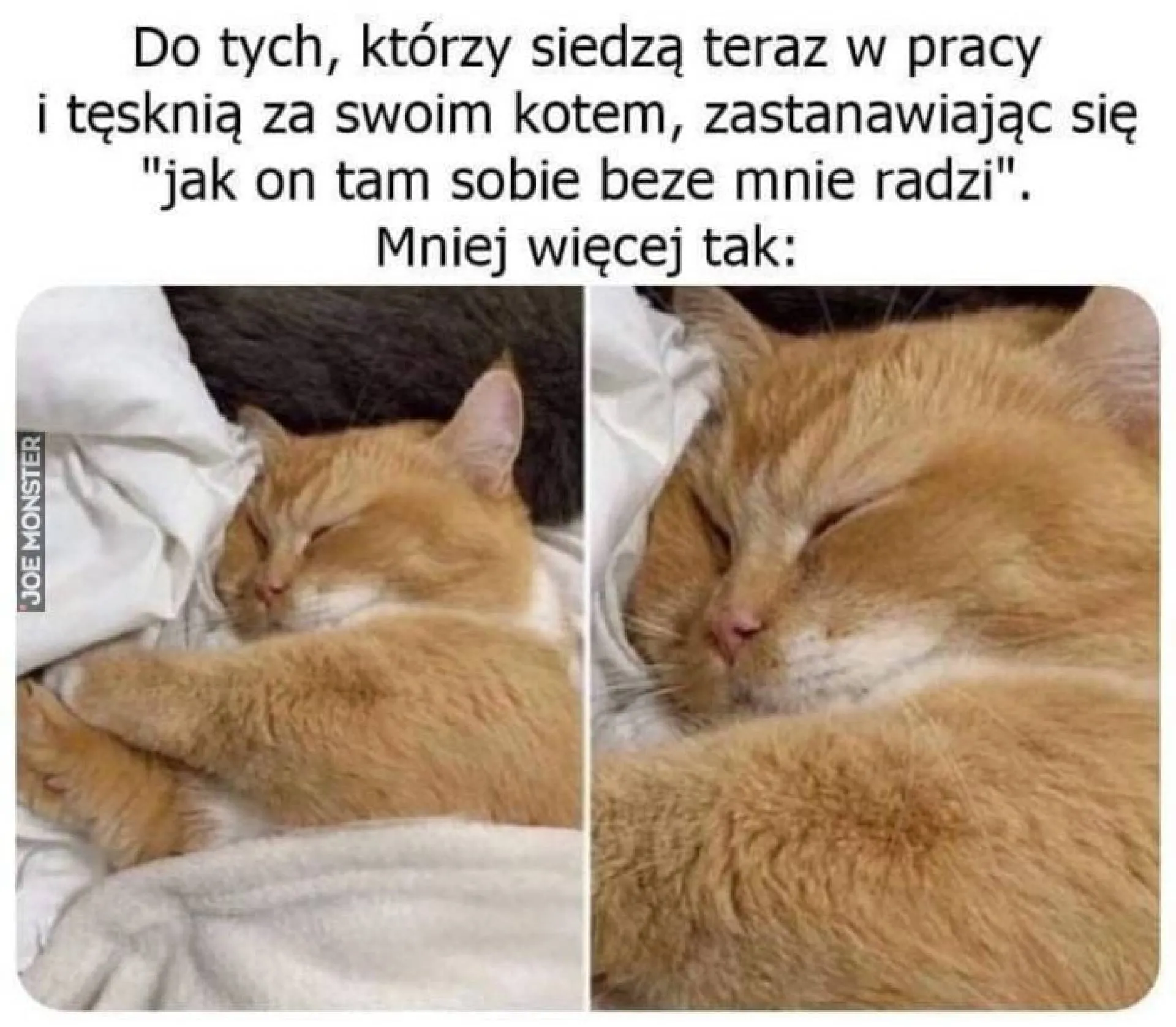 Jak sobie radzi