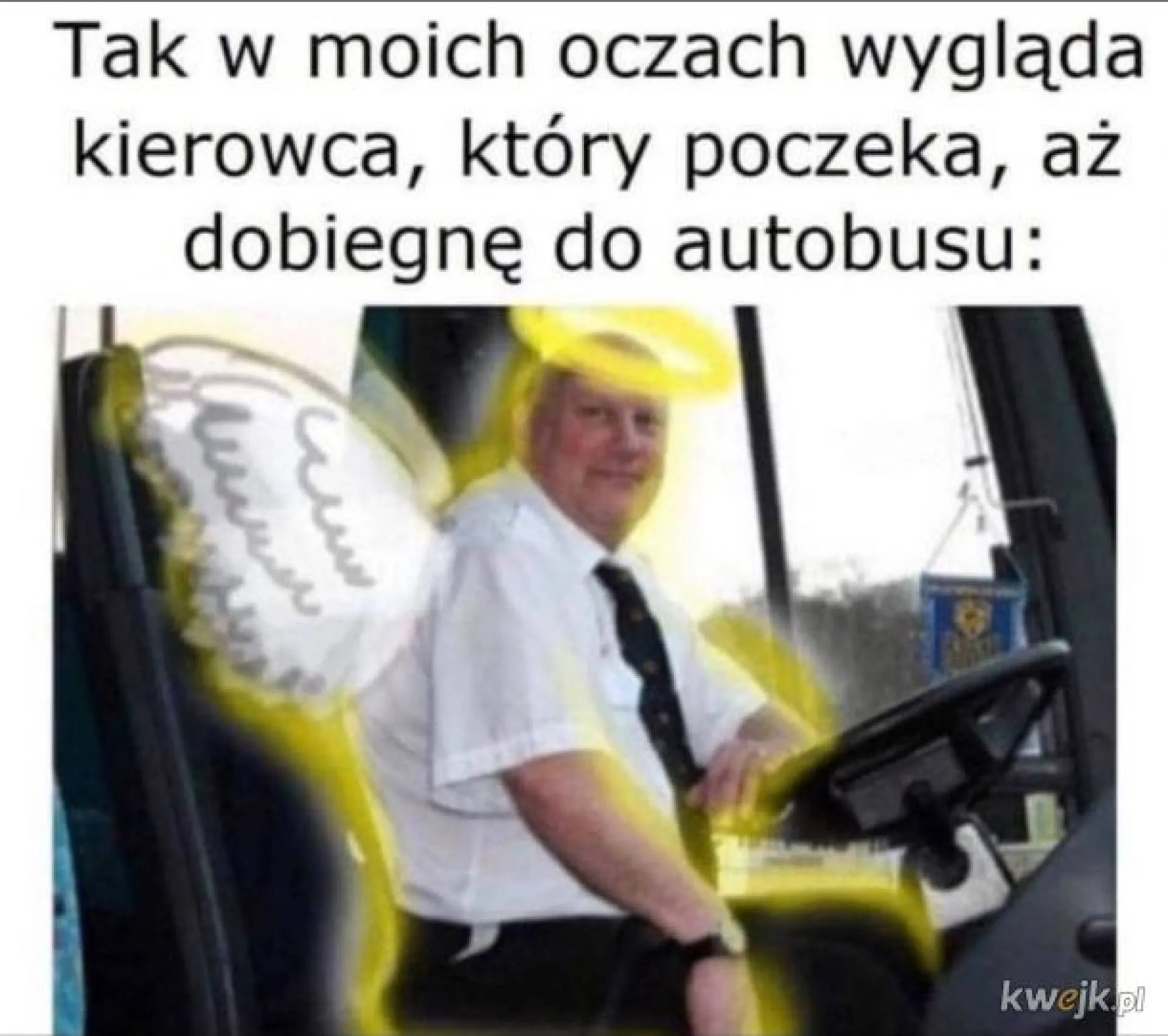 Kierowca autobusu
