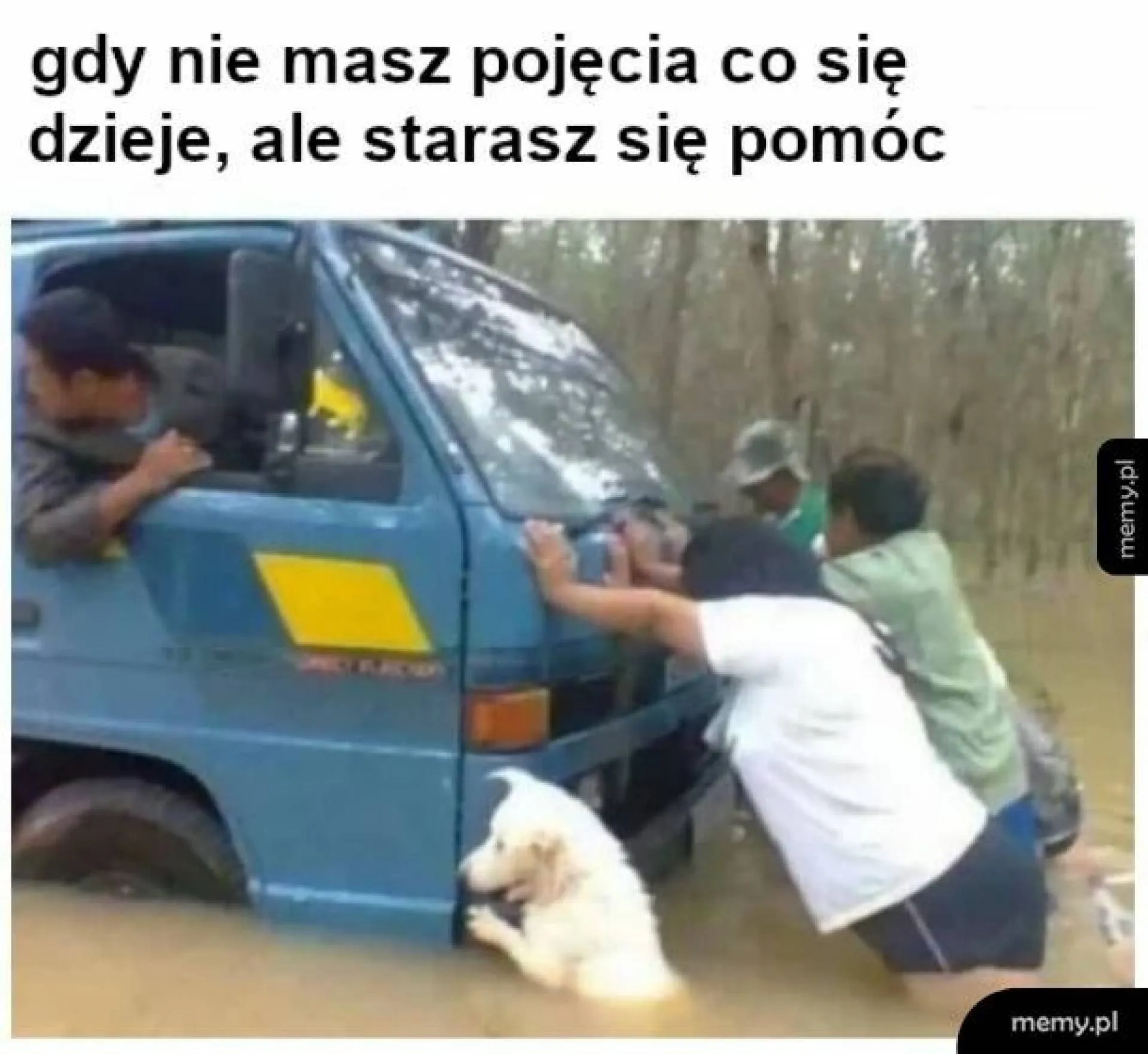 Stara się
